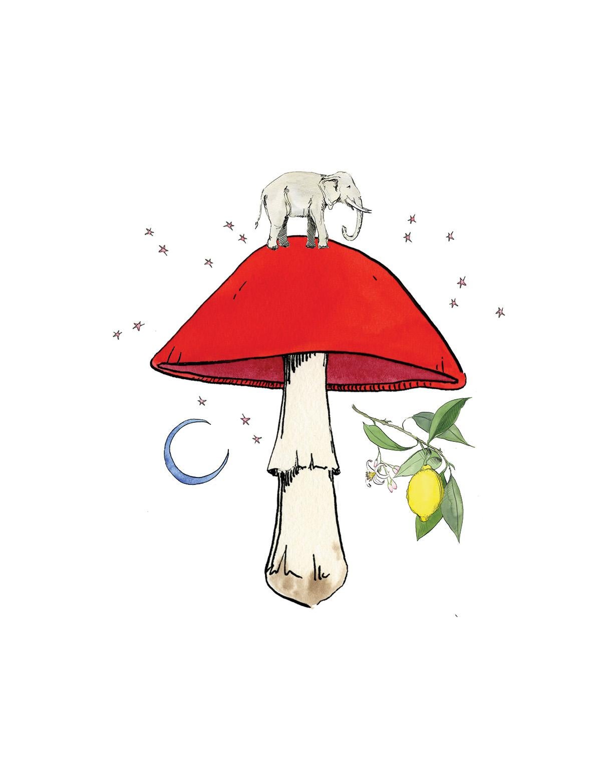 Red Mushroom