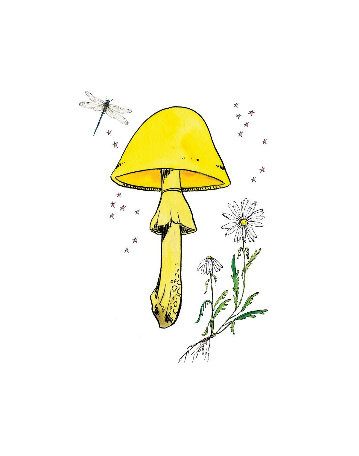 Lia Burke Libaire Still-Life Print - Yellow Mushroom