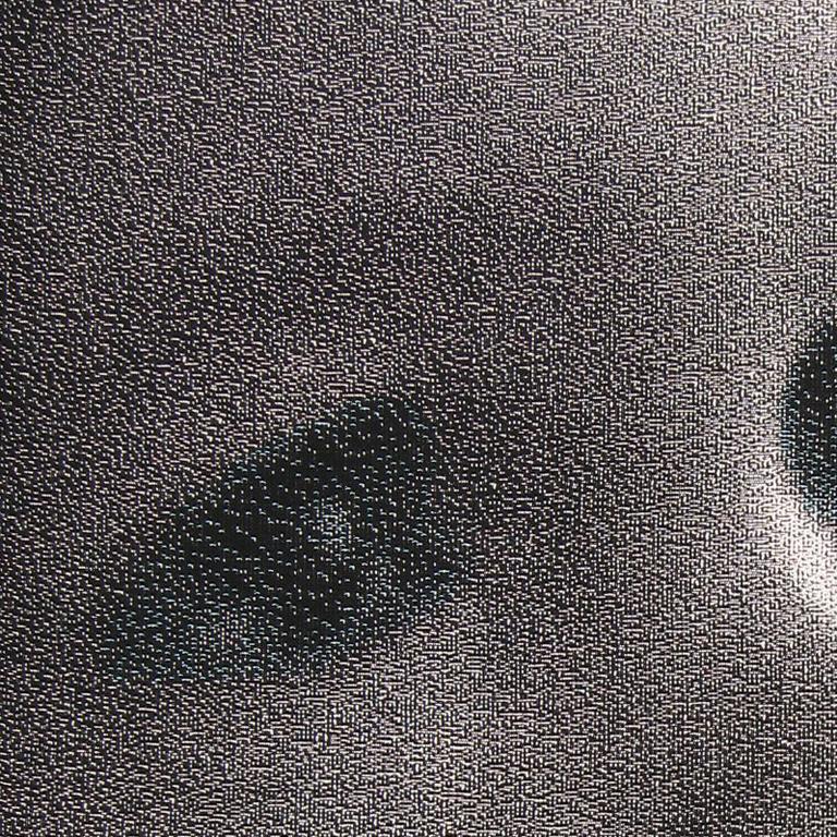 Lia Cook (née en 1942) est une artiste des fibres qui combine le tissage, la peinture, la photographie et la technologie numérique pour créer ses œuvres.

L'œuvre de Cook tente de faire voler en éclats les théories restrictives sur l'artisanat,