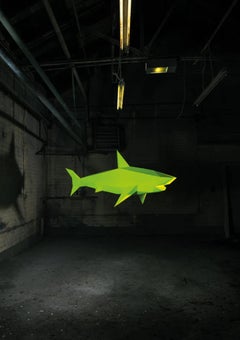 Liam Hopkins, Industry Shark 01