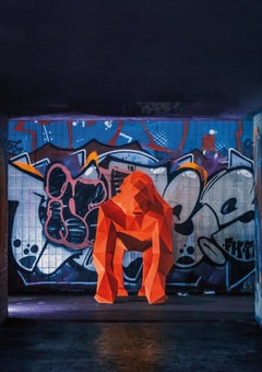 Liam Hopkins, Subway Gorilla