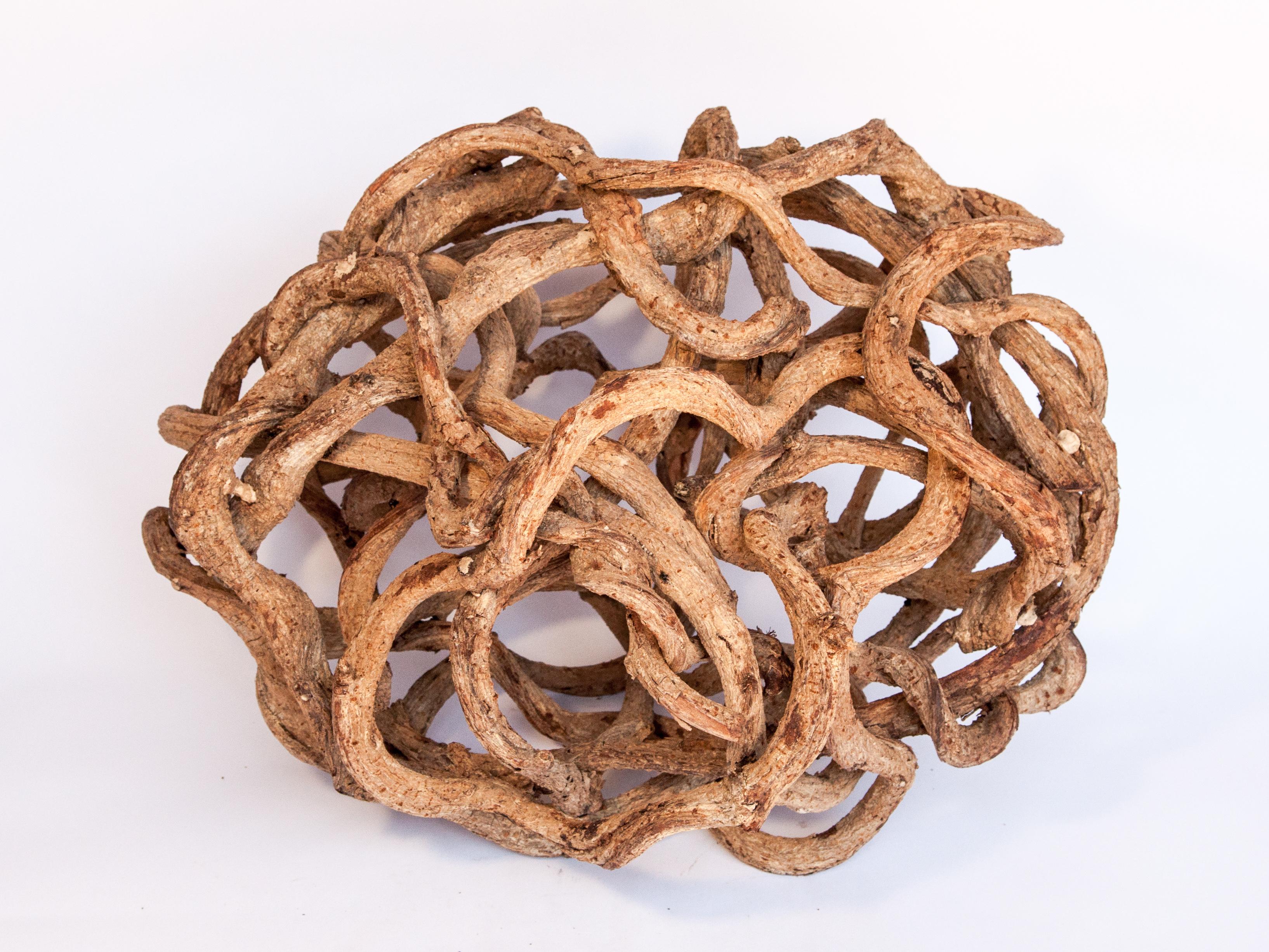 Liana vine organic sculpture in ovoid shape, from Thailand, 17 x 18 x 22.
The liana vines for this piece were gathered from the forests of eastern Thailand. They were cleaned and bleached and wound together into an ovoid shape.
This piece works
