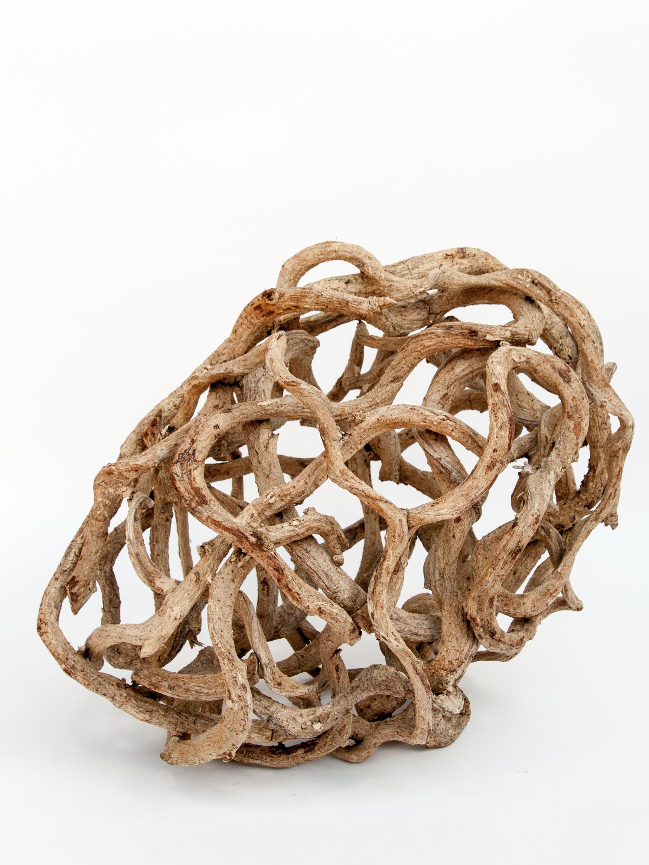 Liana Vine organic sculpture in ovoid shape from Thailand.
The liana vines for this piece were gathered from the forests of eastern Thailand. They were cleaned and bleached and wound together into an ovoid shape.
This piece works well vertically