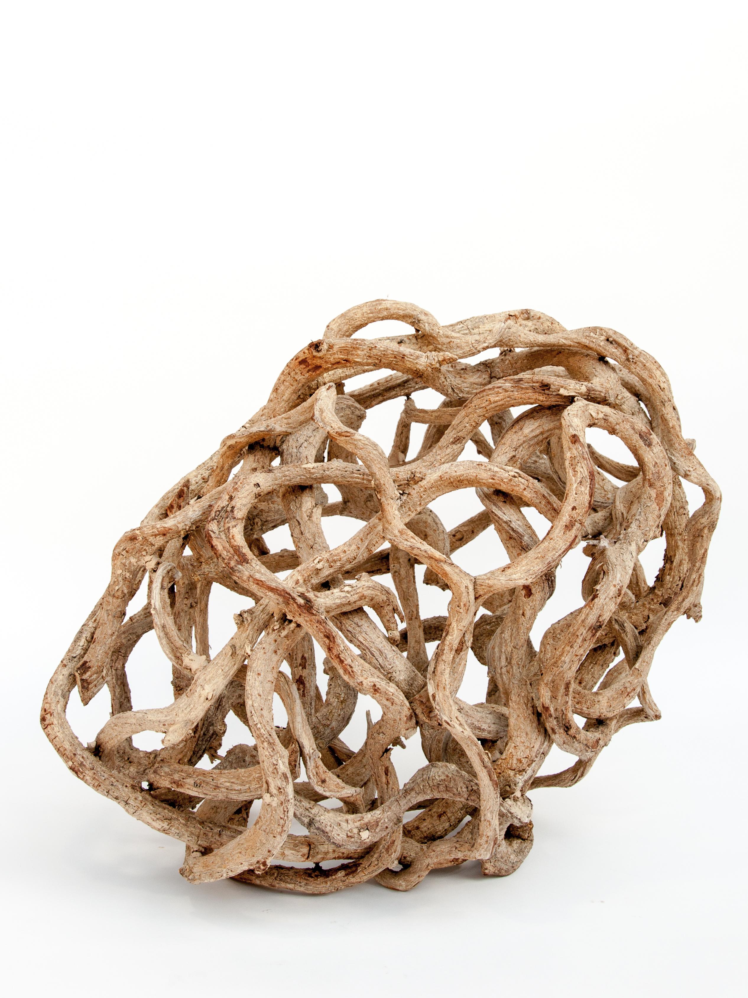 Rustic Liana Vine Organic Sculpture in Ovoid Shape, from Thailand
