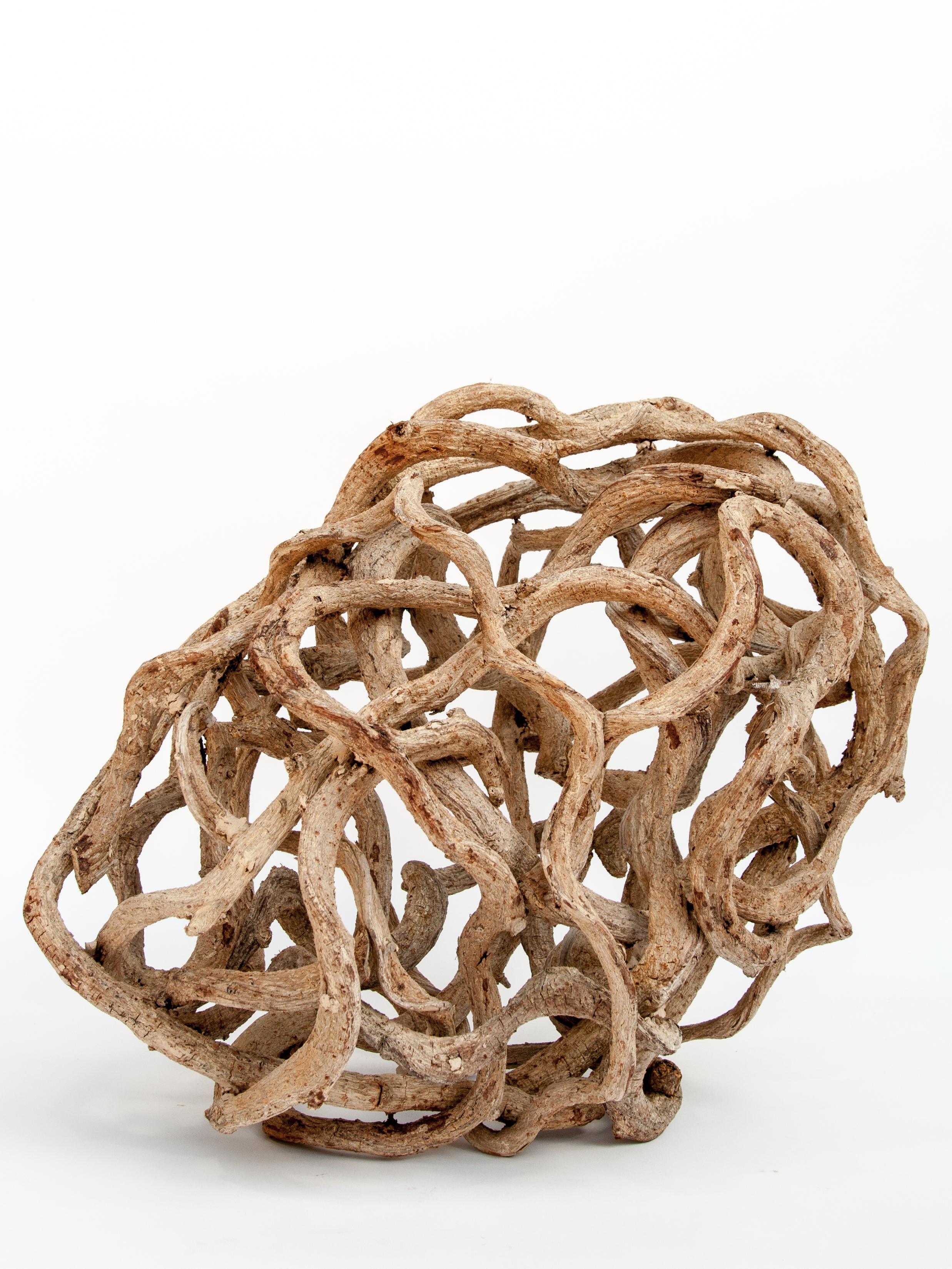 Bleached Liana Vine Organic Sculpture in Ovoid Shape, from Thailand