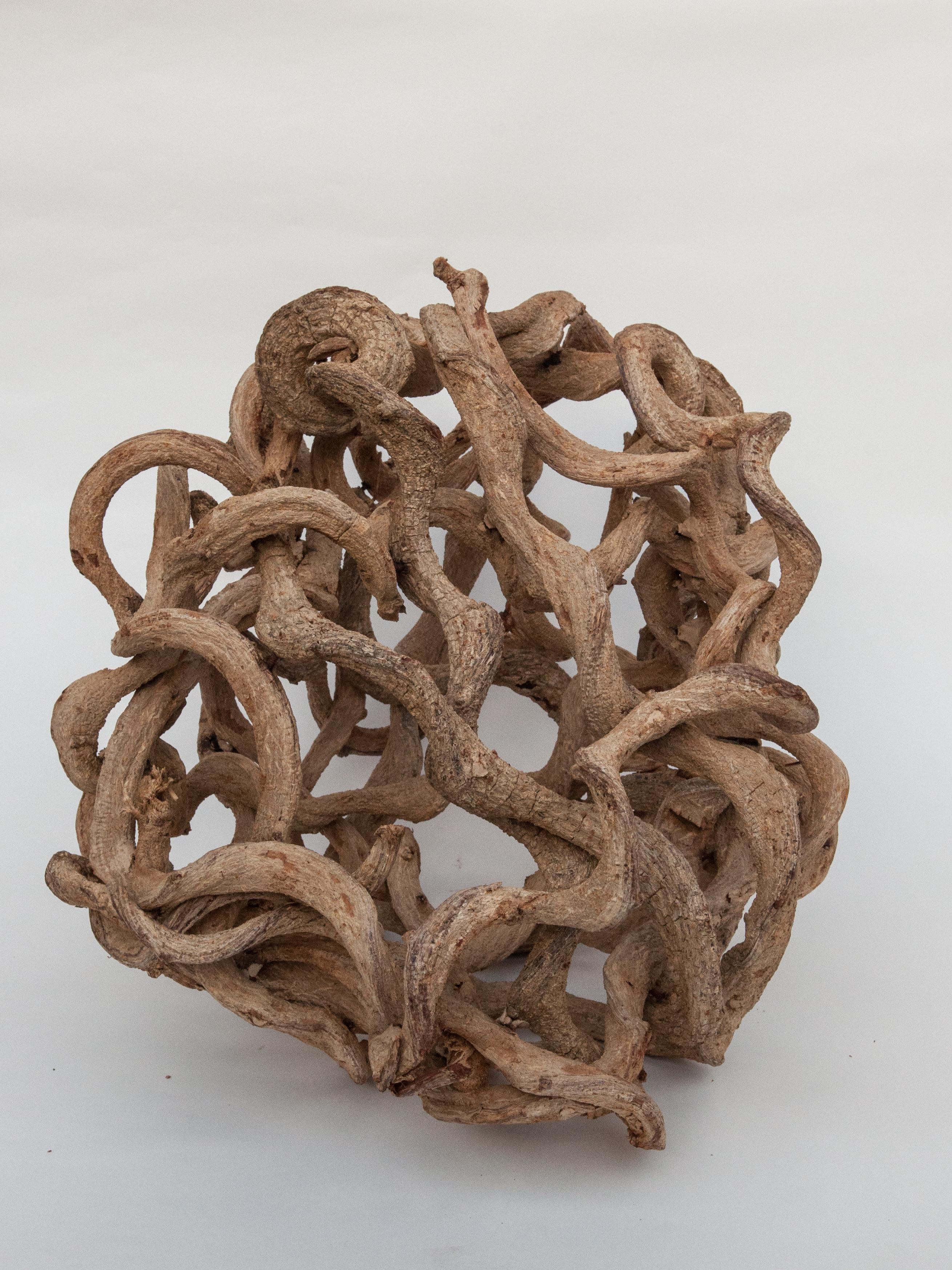 Rustic Liana Vine Organic Sculpture in Ovoid Shape, from Thailand