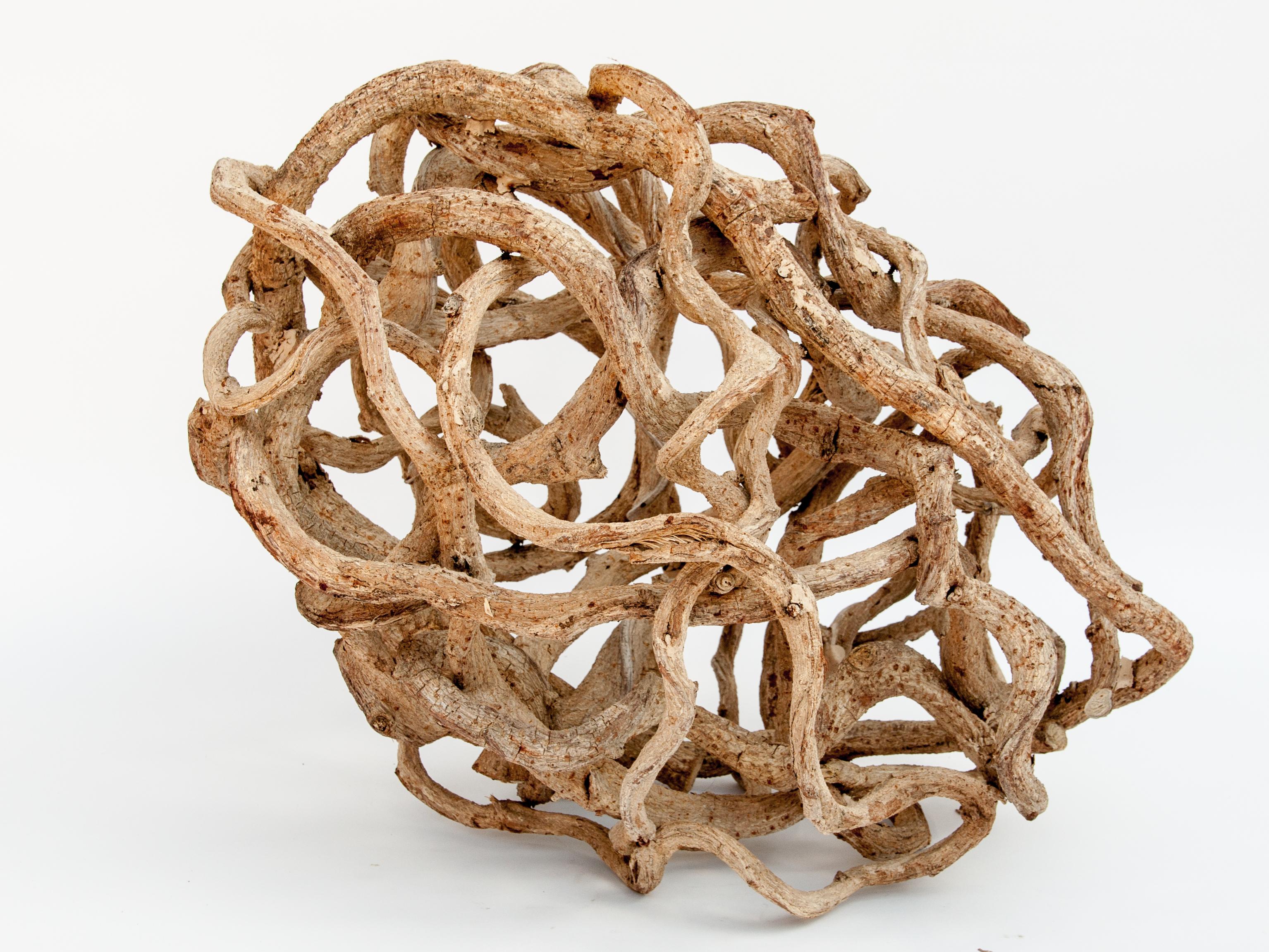 Contemporary Liana Vine Organic Sculpture in Ovoid Shape, from Thailand