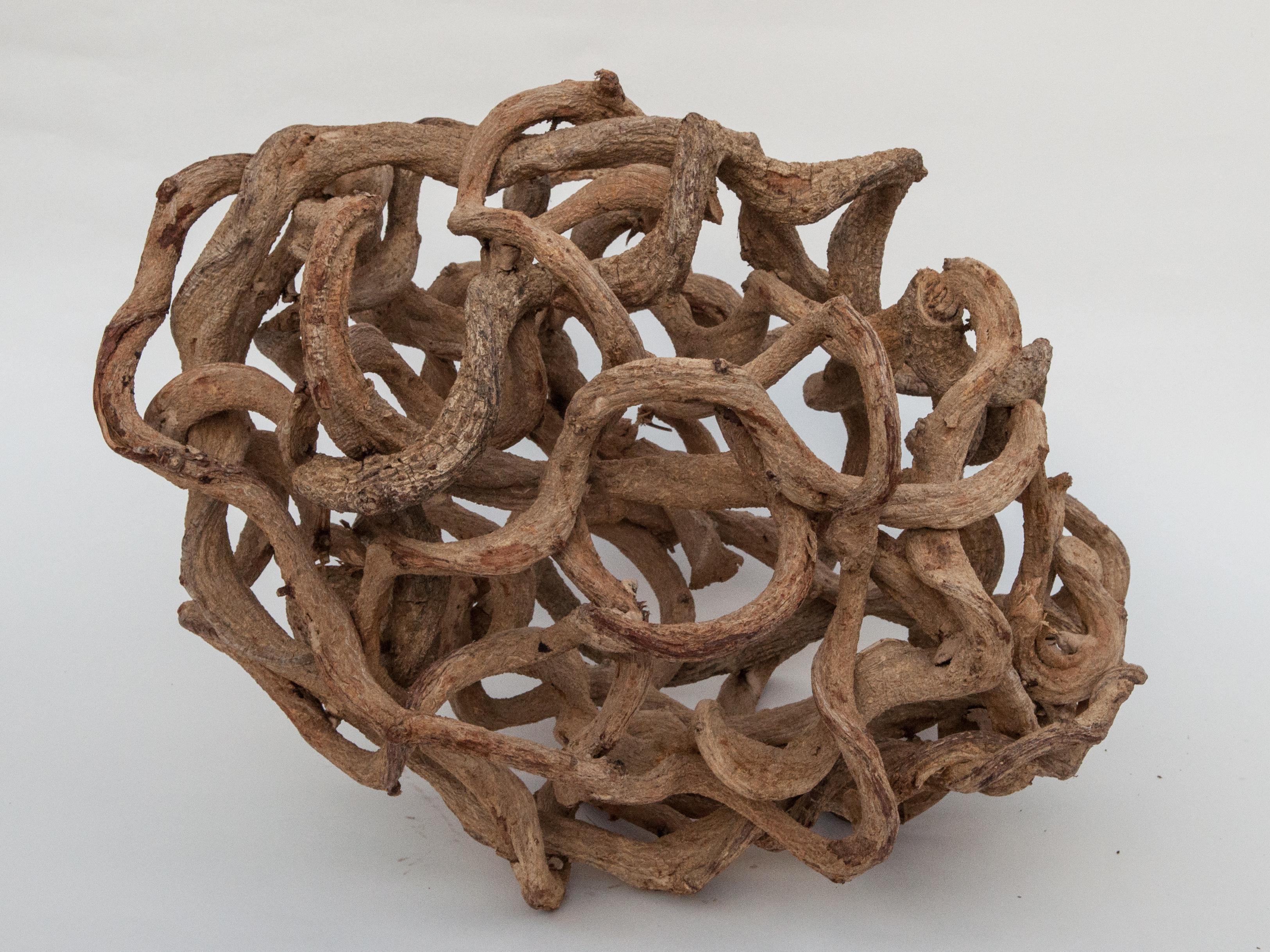 Bleached Liana Vine Organic Sculpture in Ovoid Shape, from Thailand