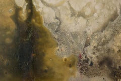 Lianfang Zhu Óleo Original Abstracto Sobre Lienzo "Vista Primavera 1"
