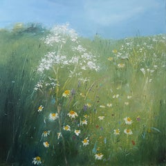 Oxeye Daisies Lower Field
