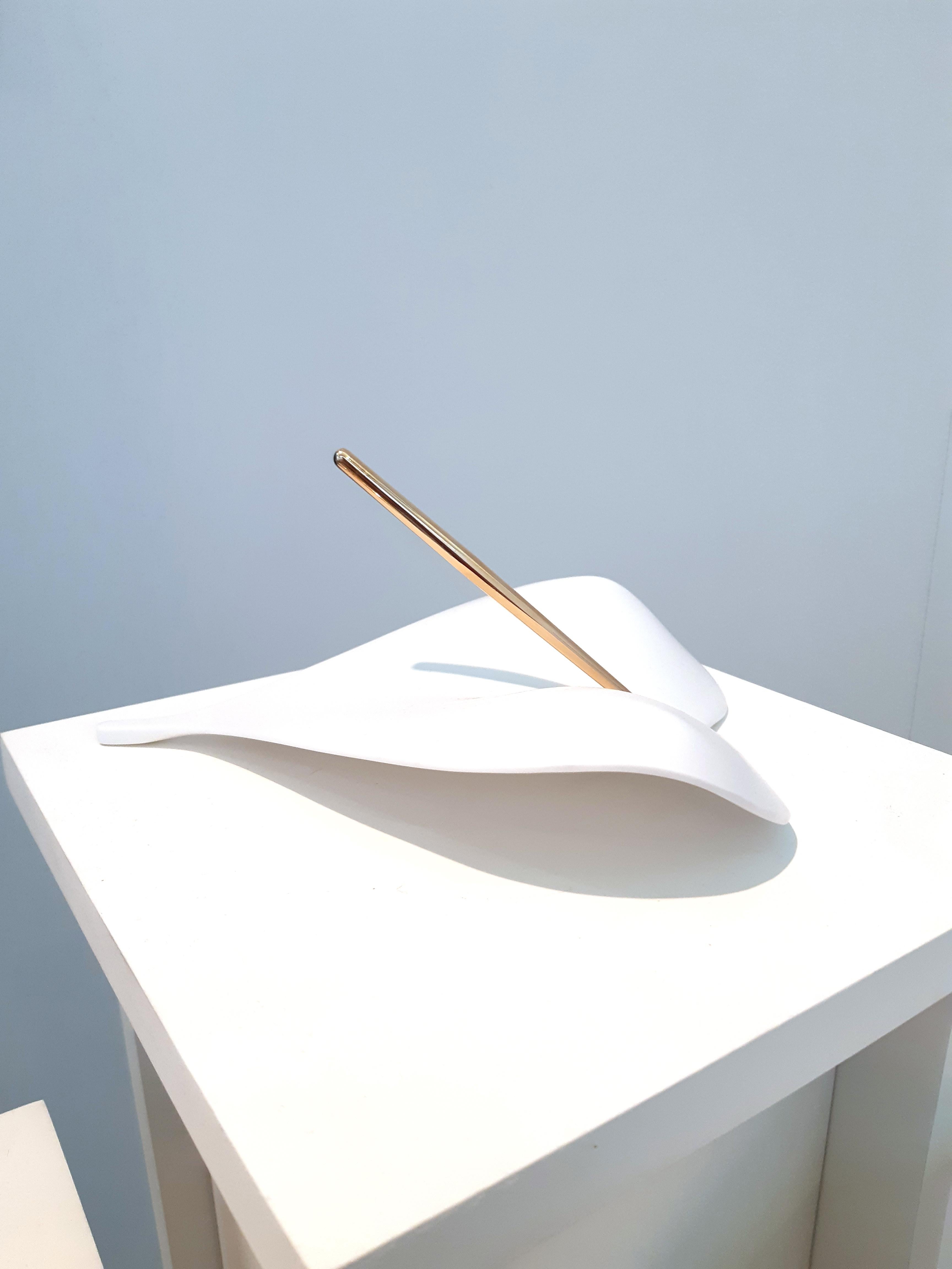 Libidonoso object #3 by Mameluca
Material: corian, gold-plated metal.
Dimensions: D 21 x W 18 x H 10cm.

In reference to Paul Nacke’s states about Narcissism, being an attitude of a person who treats his own body in the same way as the body of a