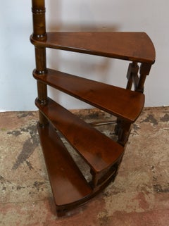 Library Ladder