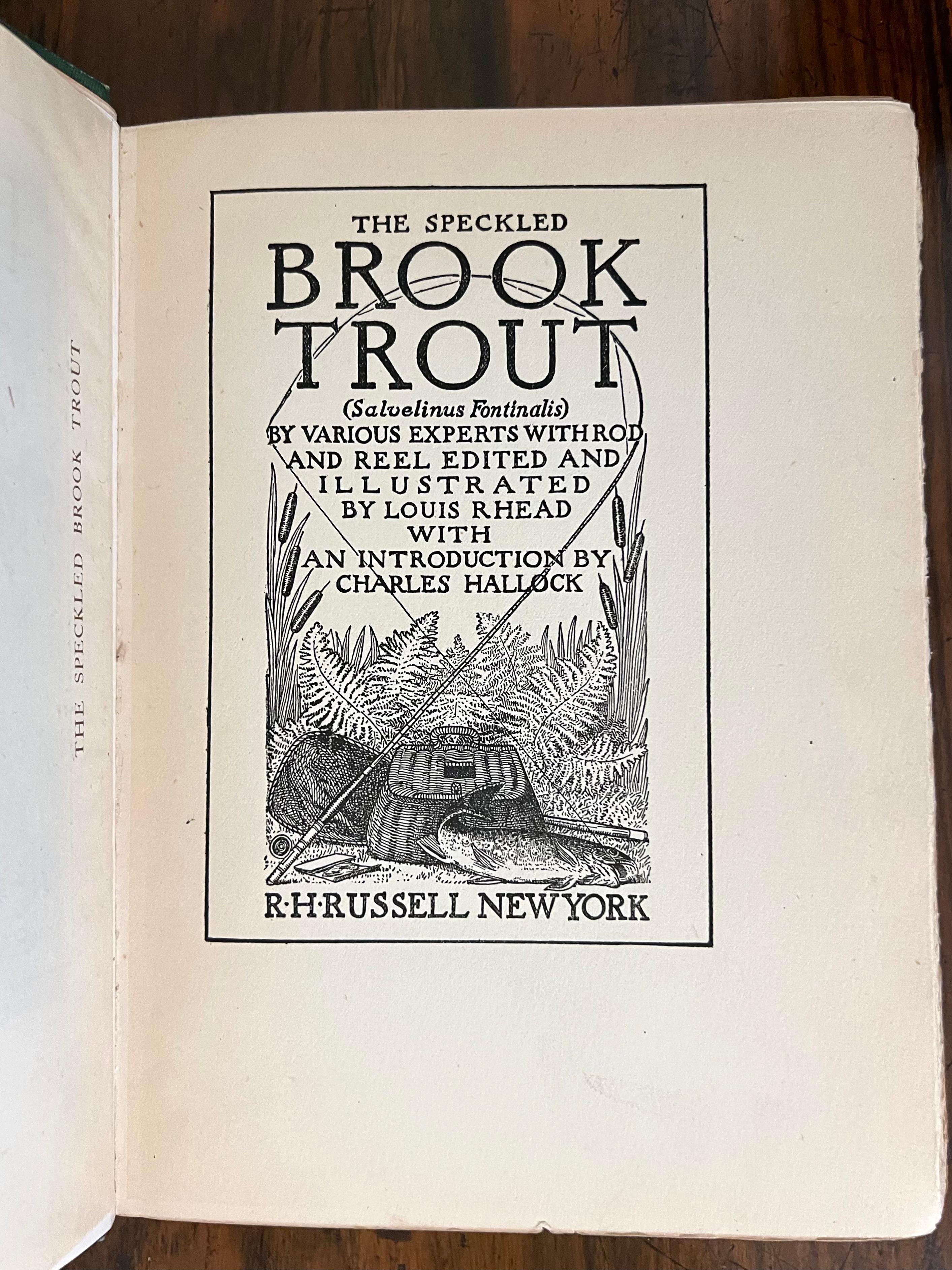 Bibliothèque de 11 livres anglais et américains d'époque sur la pêche avec des premières éditions en vente 13