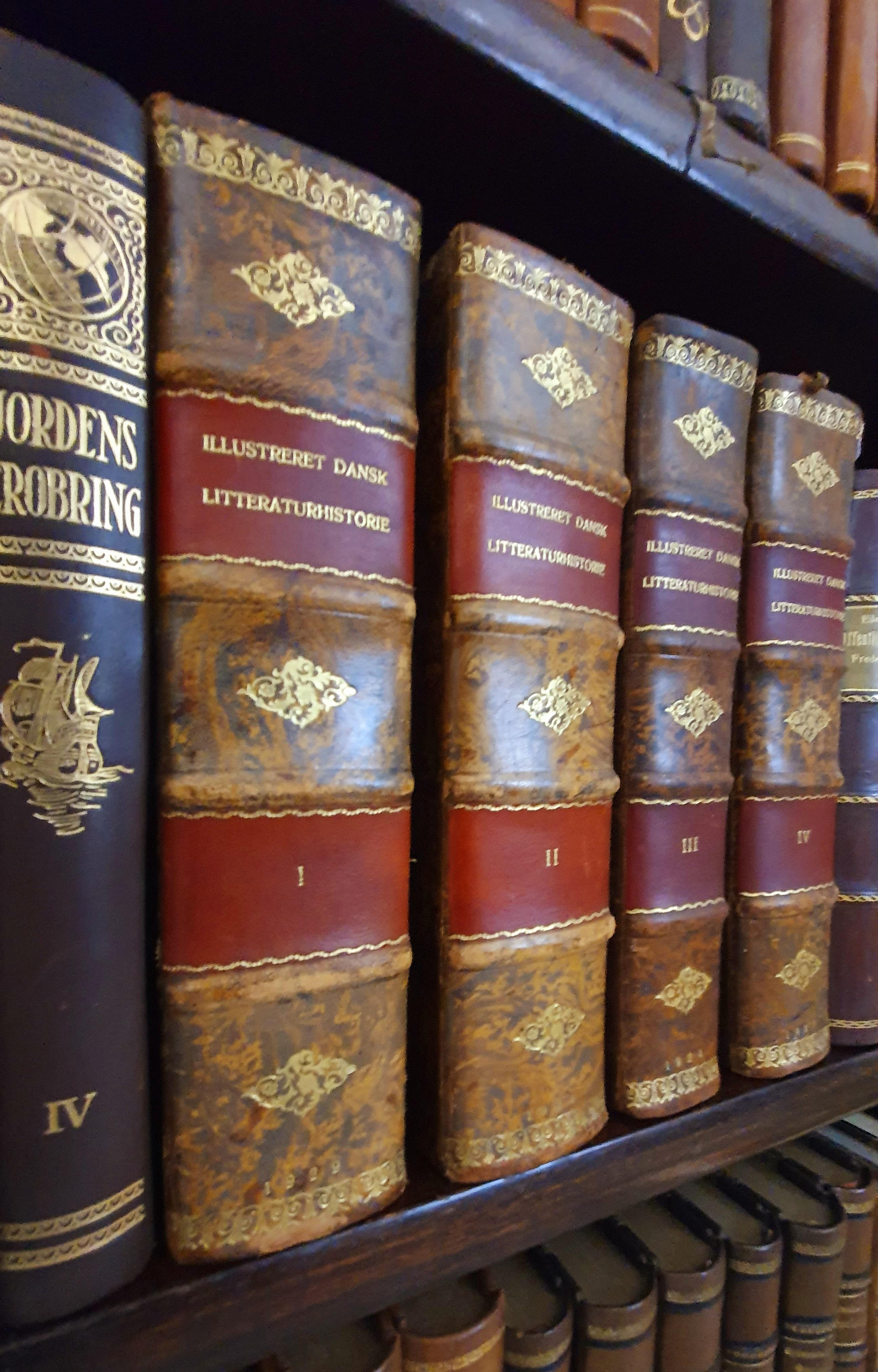 Cuir Bibliothèque de livres anciens reliés en cuir en vente