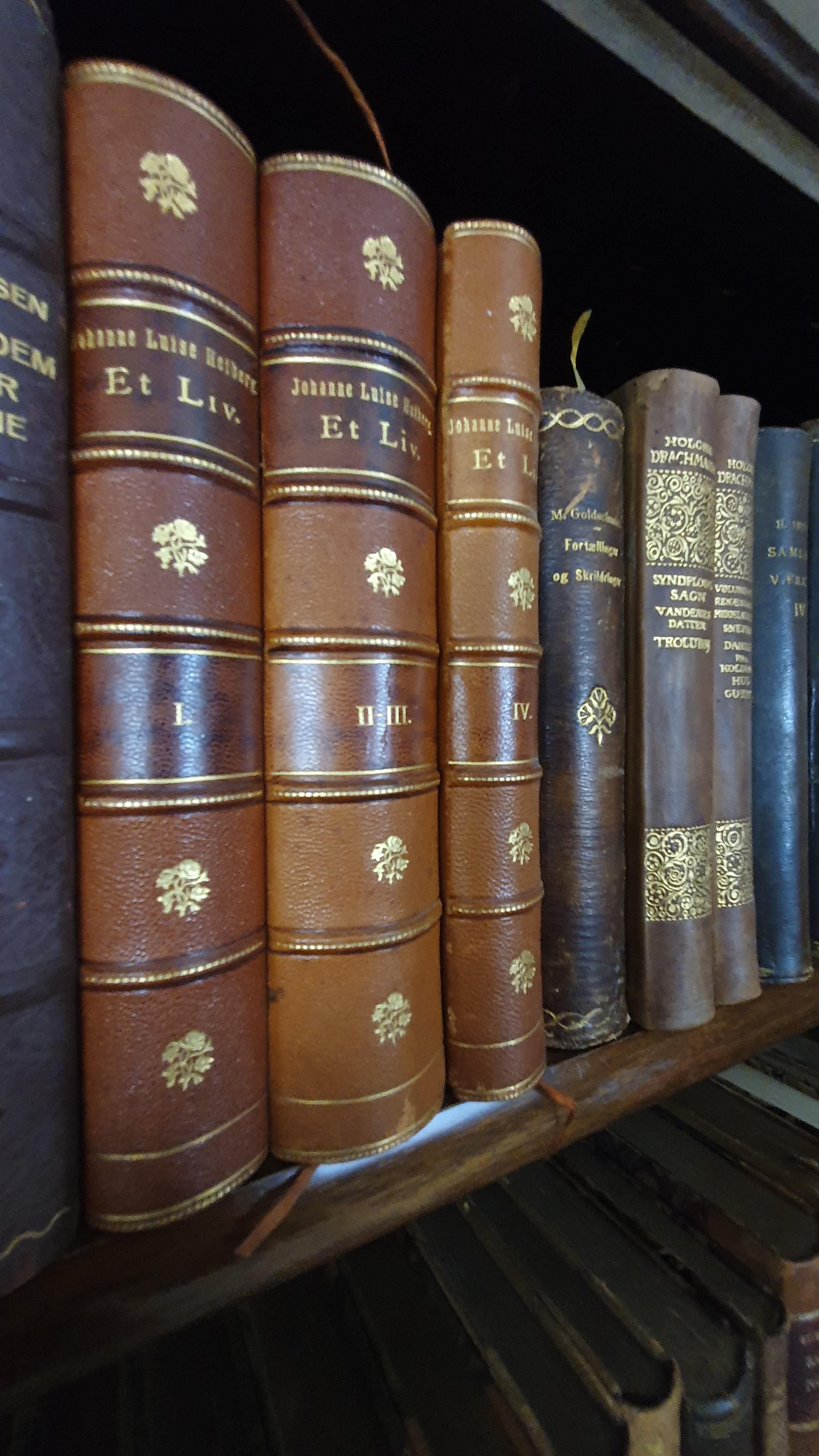 Bibliothèque de livres anciens reliés en cuir en vente 1