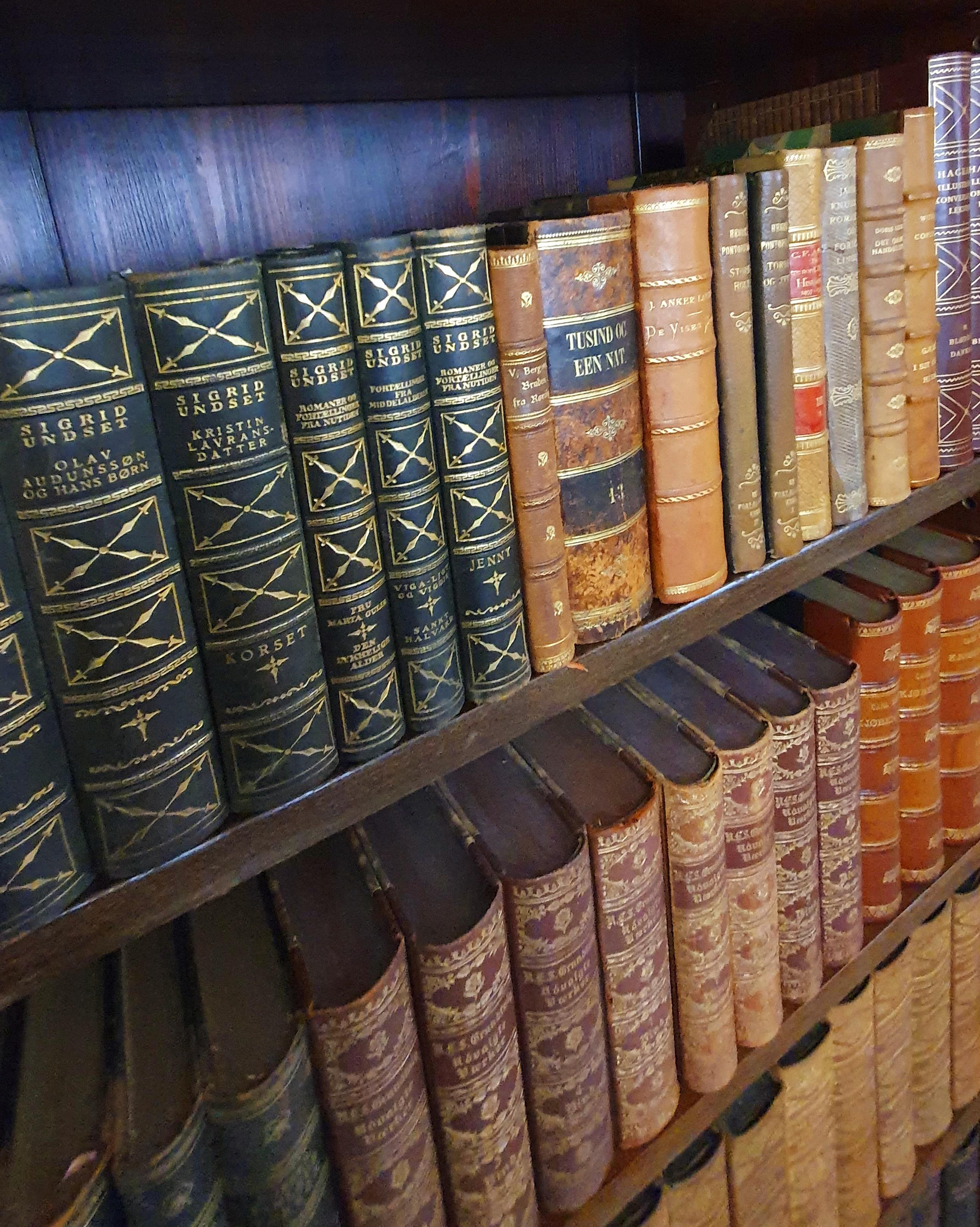Bibliothèque de livres anciens reliés en cuir en vente 2