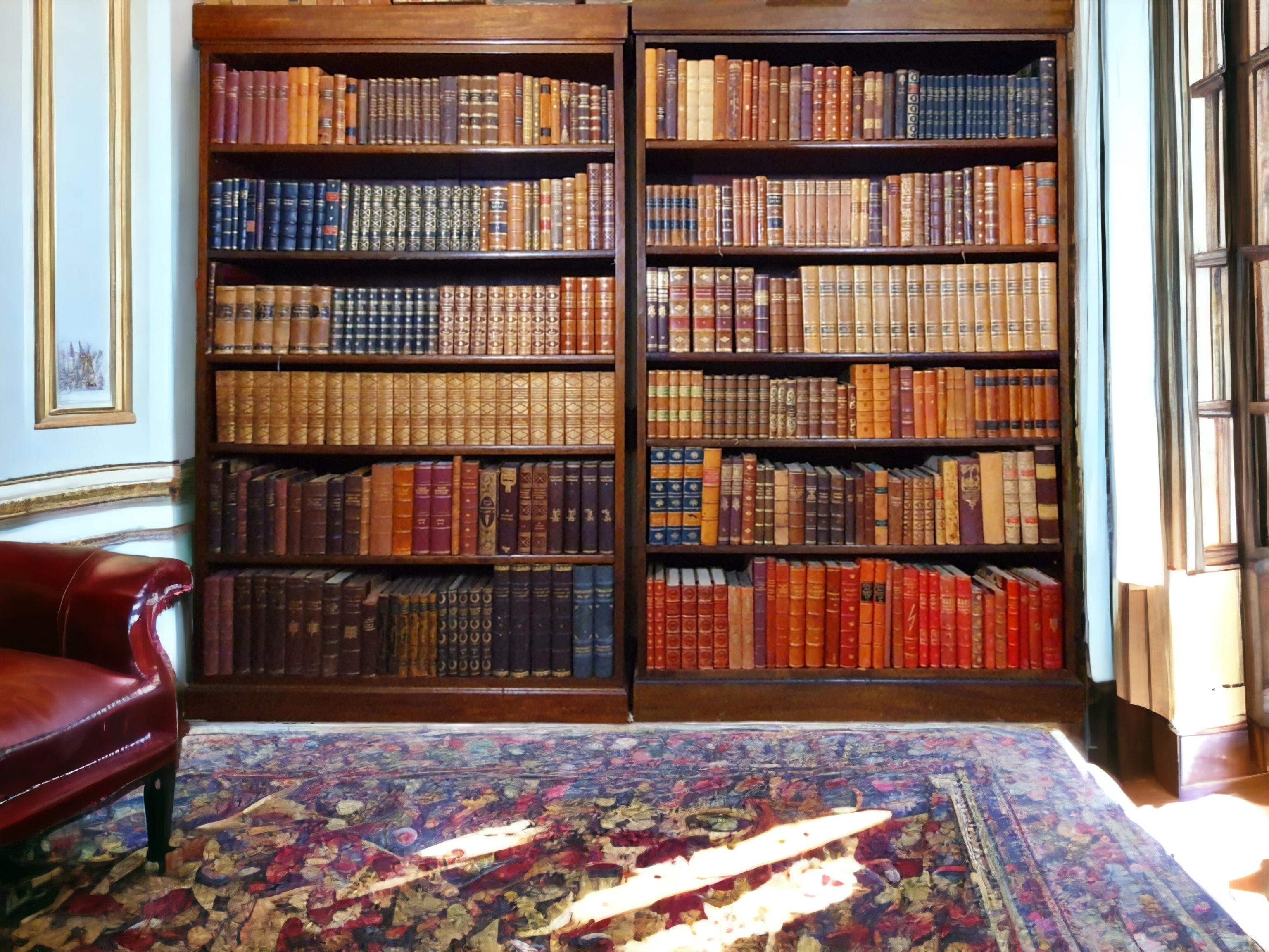 Verwandeln Sie Ihren Raum mit dem zeitlosen Charme unserer antiken dekorativen Bücher. Diese antiken, in Leder gebundenen Bücher, die überwiegend aus der Zeit zwischen 1850 und 1950 stammen und mehrheitlich vor 1920 entstanden sind, strahlen Luxus