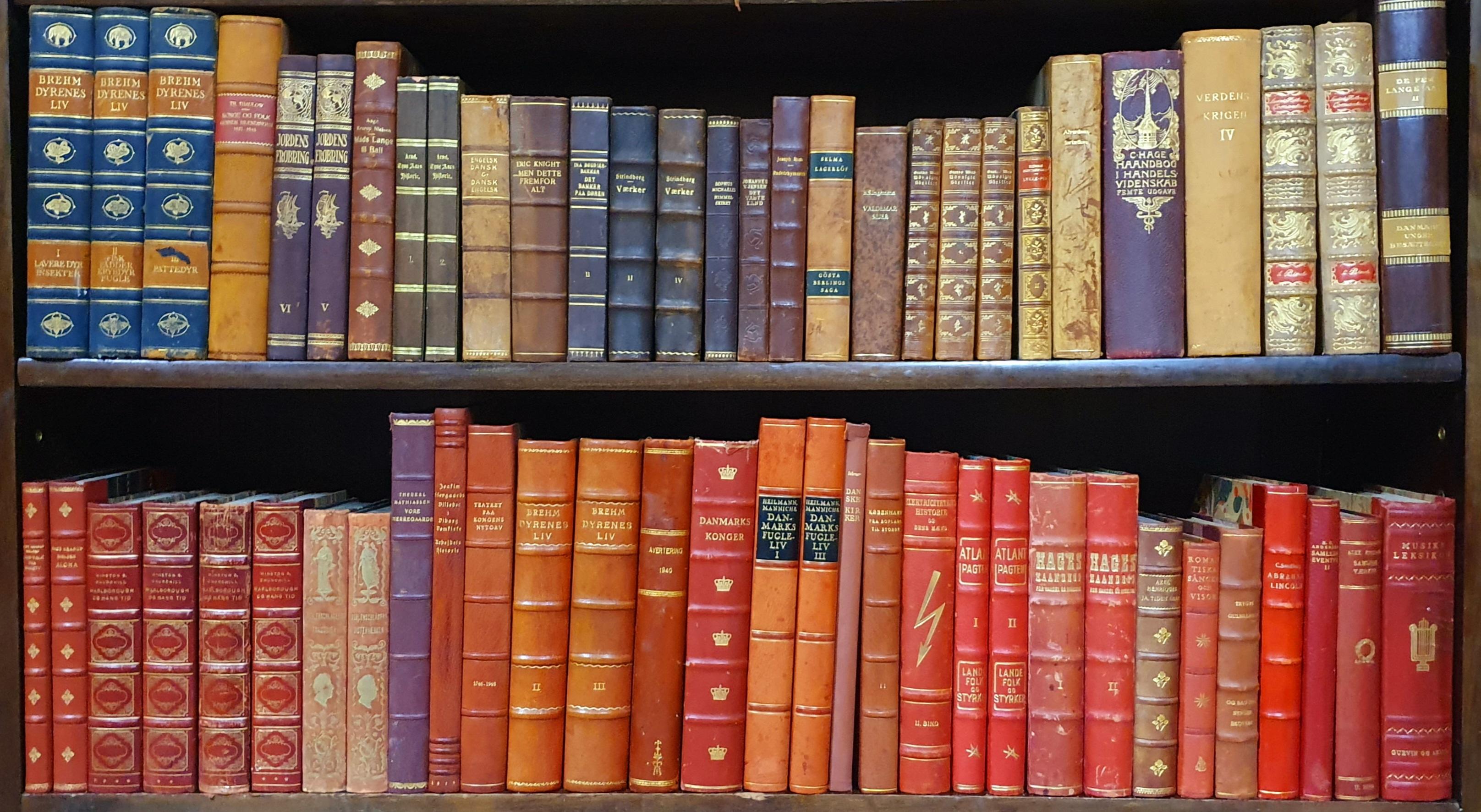 Bibliothek antiker, ledergebundener Bücher (Dänisch) im Angebot