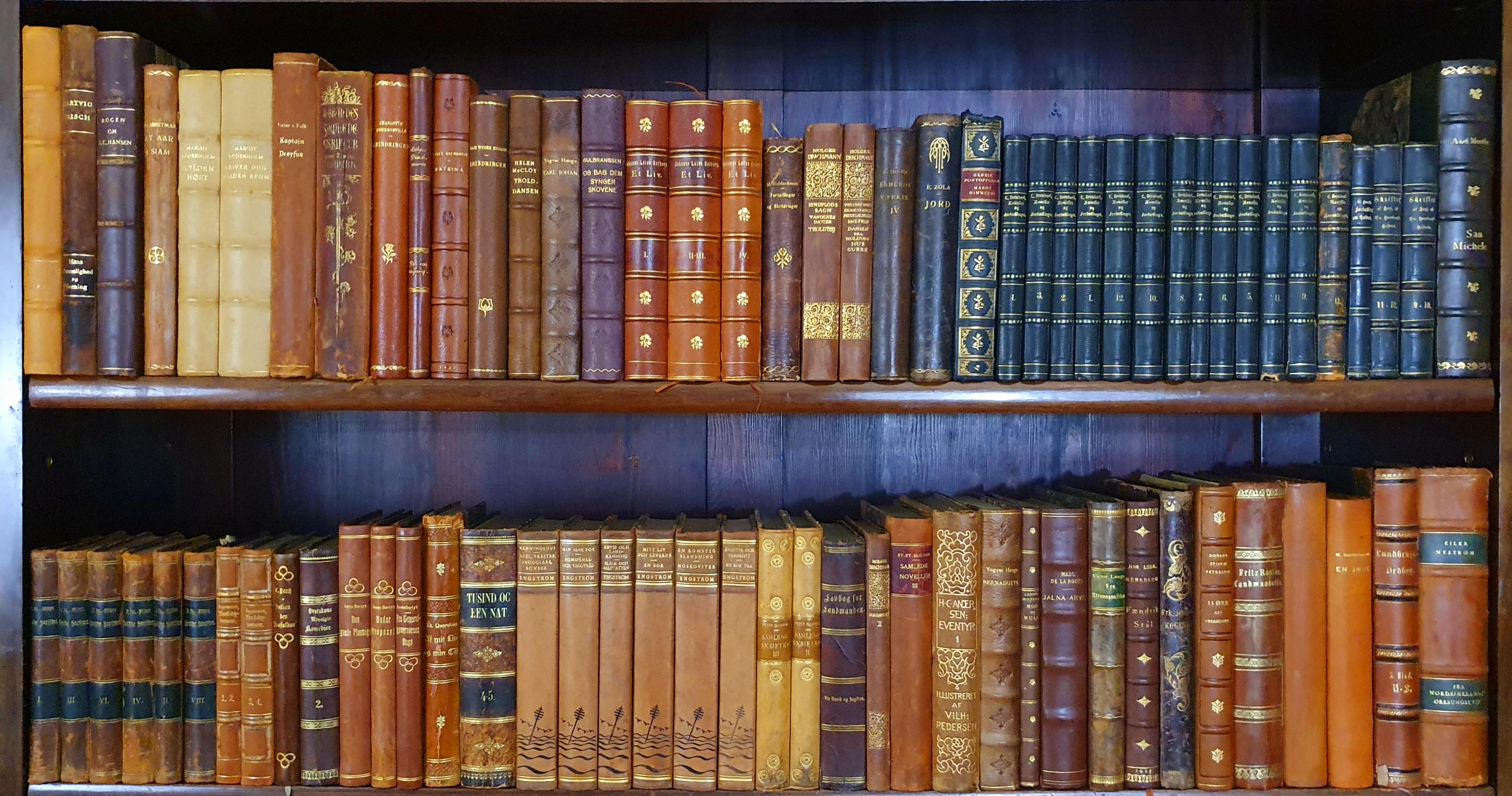Bibliothek antiker, ledergebundener Bücher im Zustand „Gut“ im Angebot in Brønshøj, DK