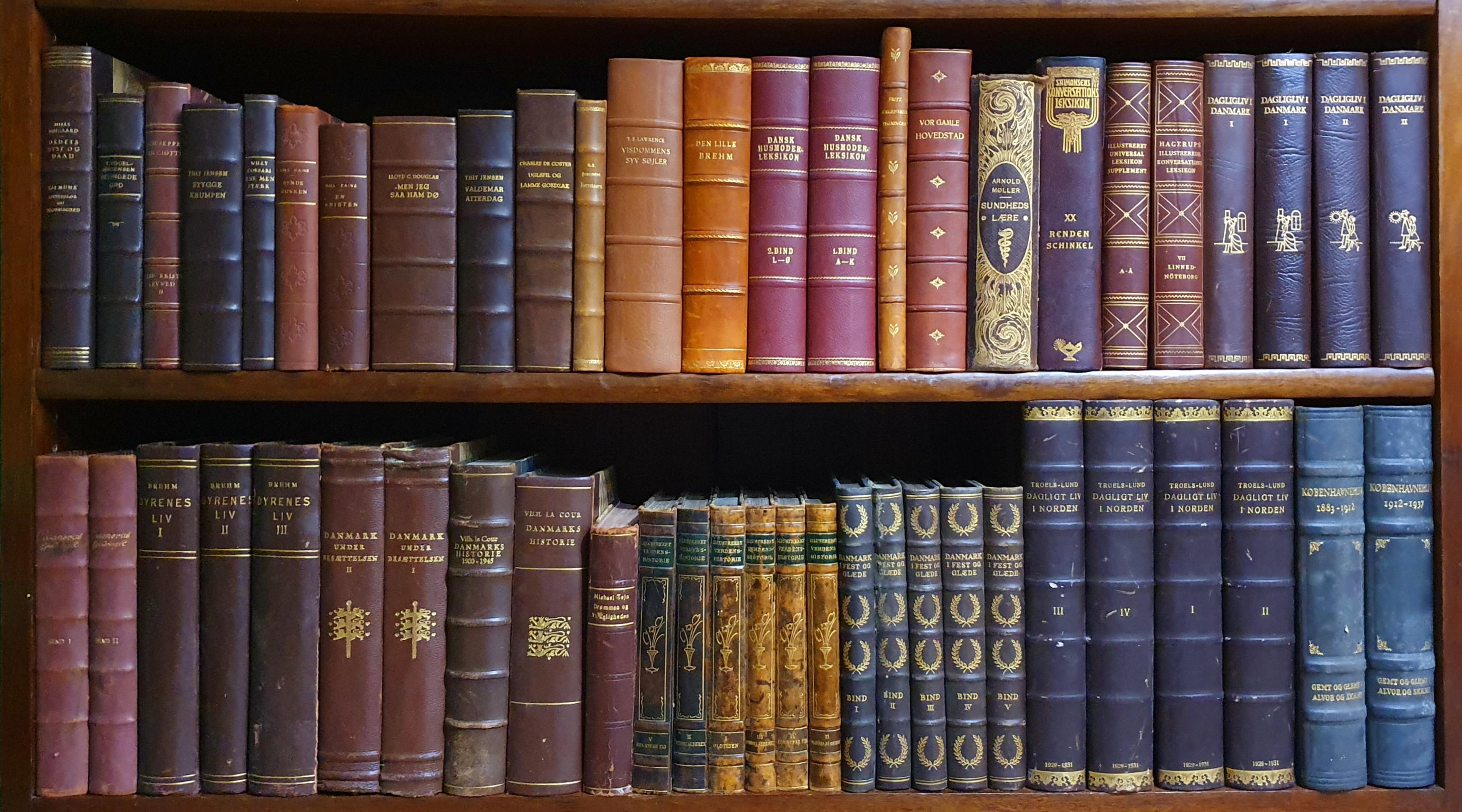 Danois Bibliothèque de livres anciens reliés en cuir en vente