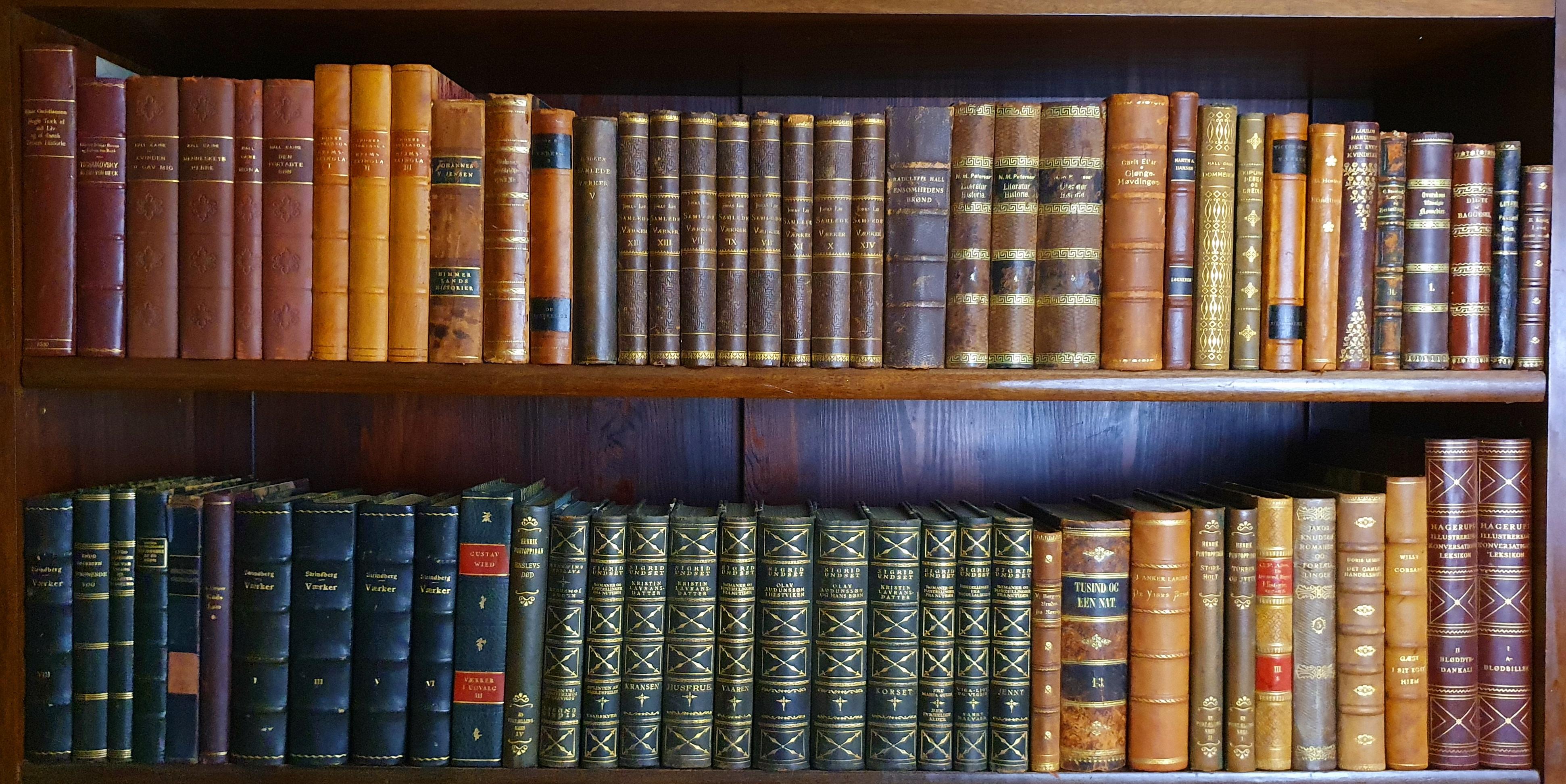 20ième siècle Bibliothèque de livres anciens reliés en cuir en vente