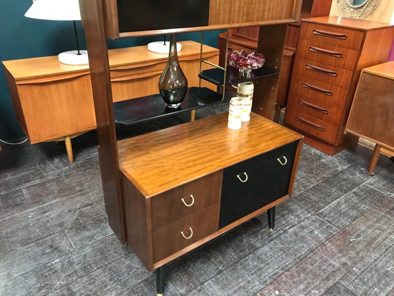 Librenza Midcentury Wall Unit or Room Divider in Afrormosia by E.Gomme