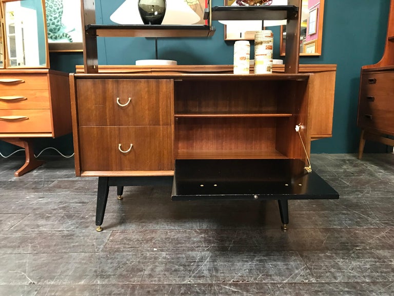 Librenza Midcentury Wall Unit or Room Divider in Afrormosia by E.Gomme