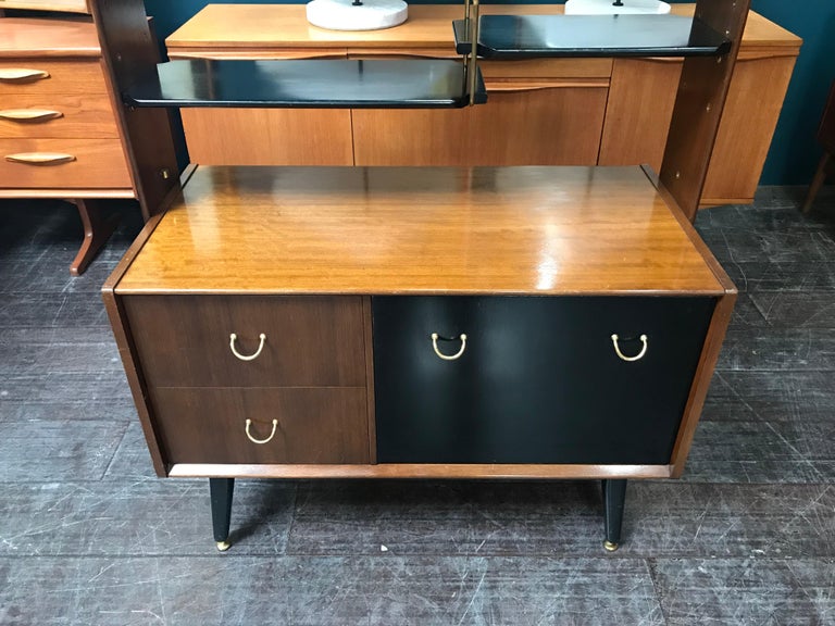 Librenza Midcentury Wall Unit or Room Divider in Afrormosia by E.Gomme