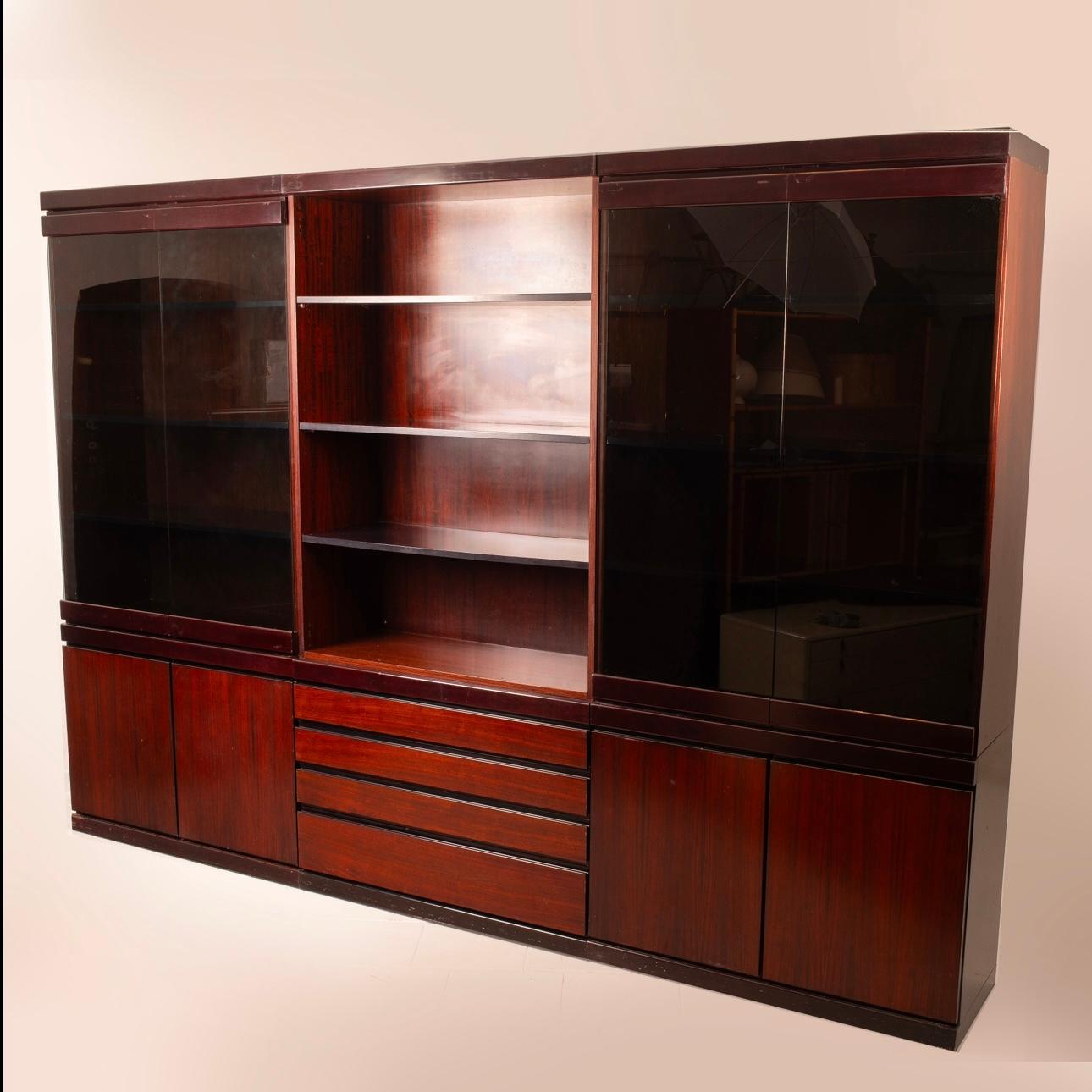 African Rosewood Bookcase by Angelo Mangiarotti for La Sorgente dei Mobili For Sale 8