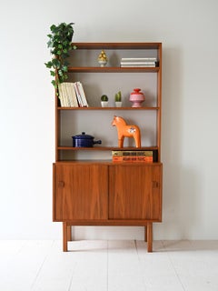 Bibliothèque scandinave avec portes