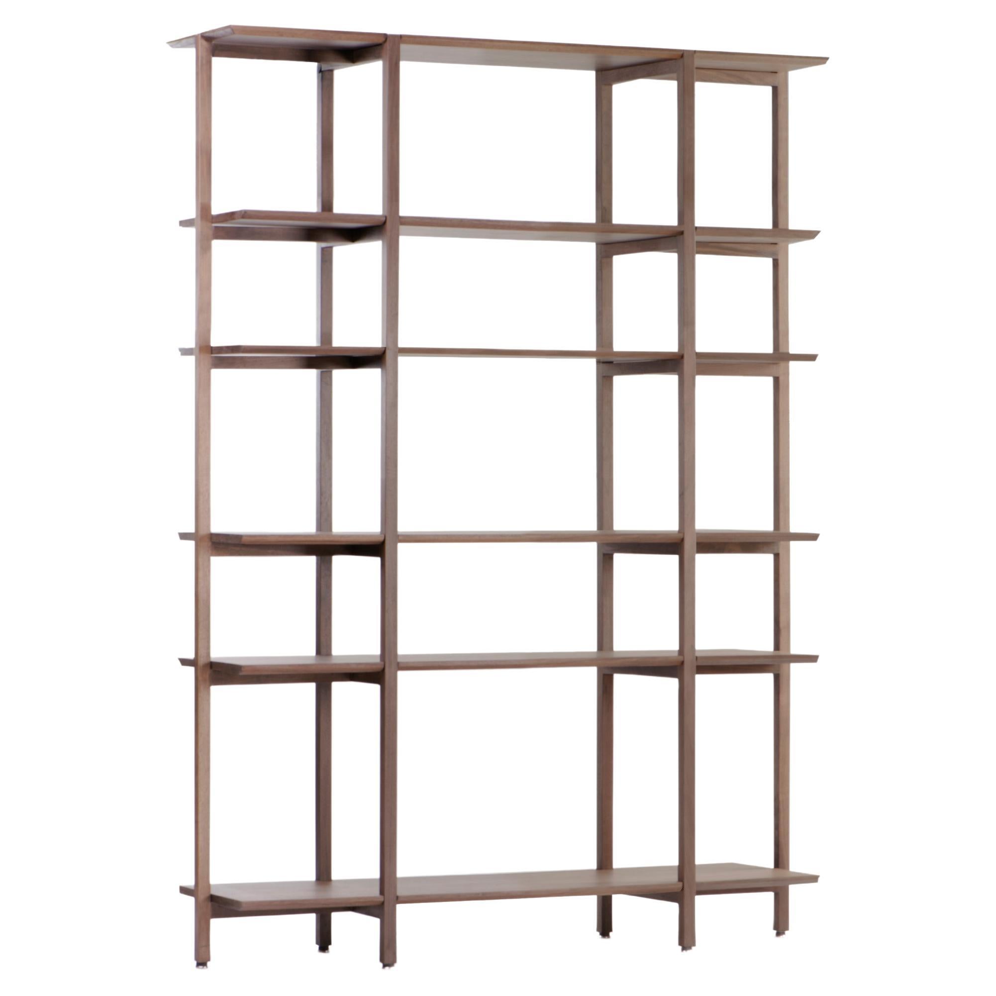 Librero A-3, Mexican Contemporary Bookcase by Emiliano Molina for Cuchara