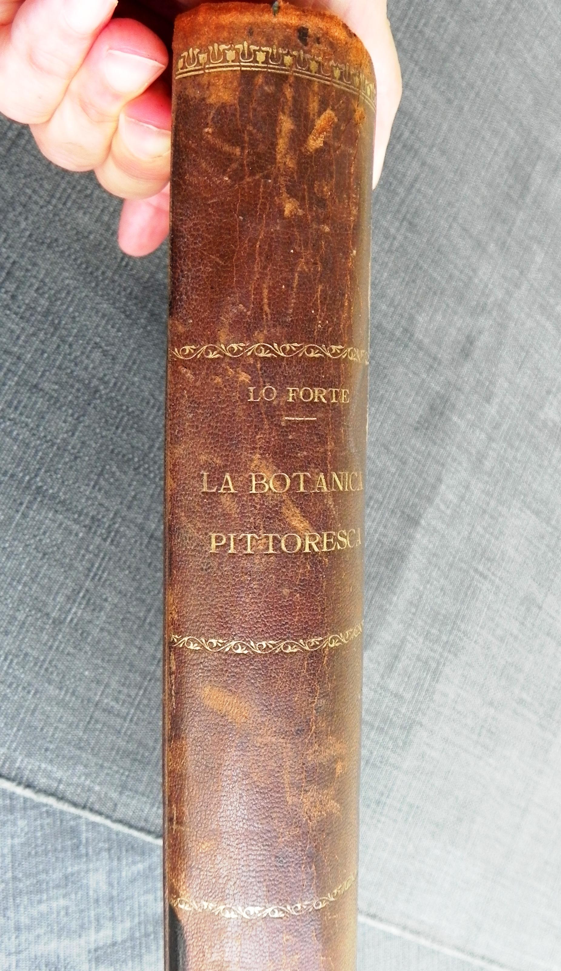 Regency Revival libro antico, la Botanica pittoresca. edizione del 1929 For Sale
