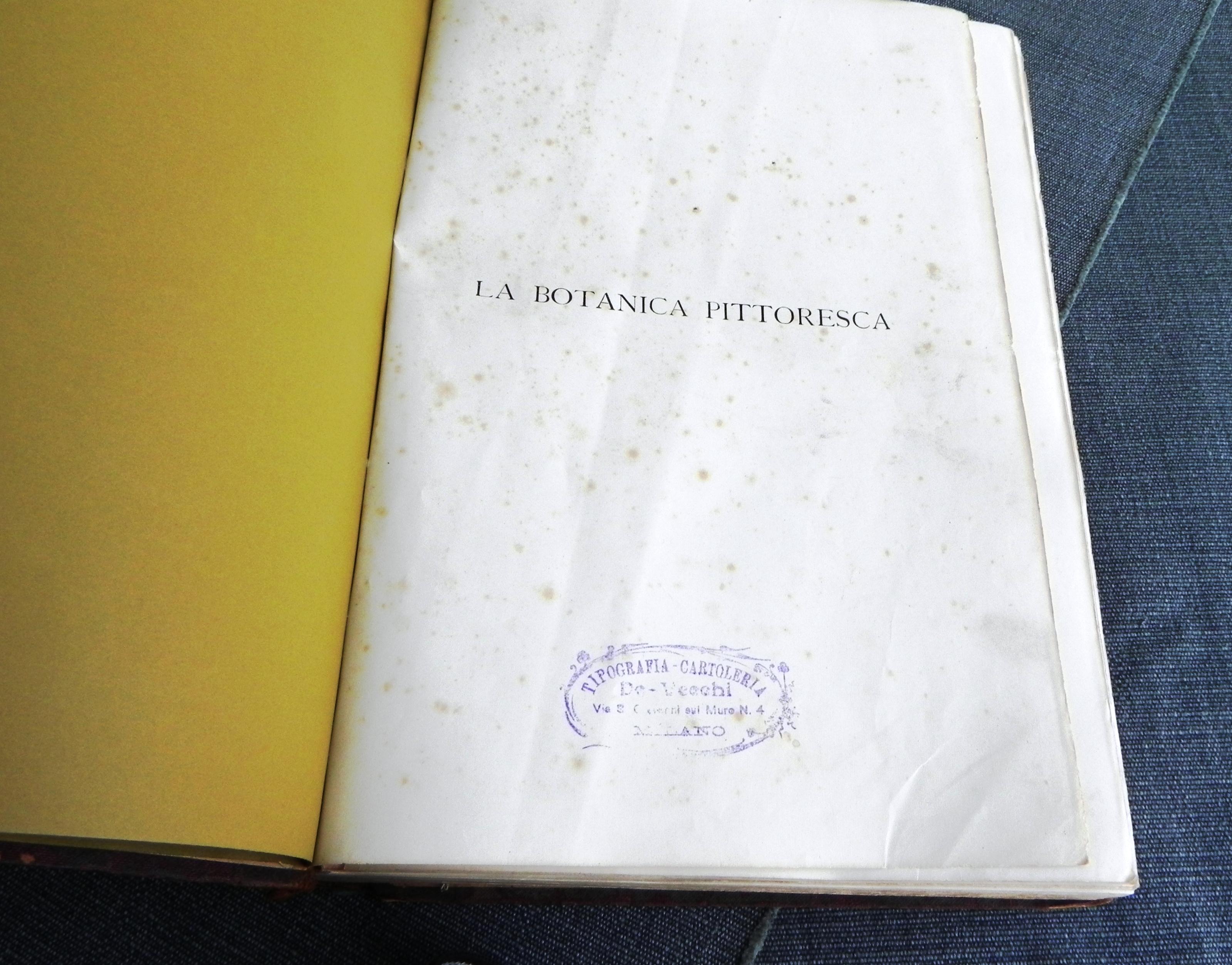 Molded libro antico, la Botanica pittoresca. edizione del 1929 For Sale
