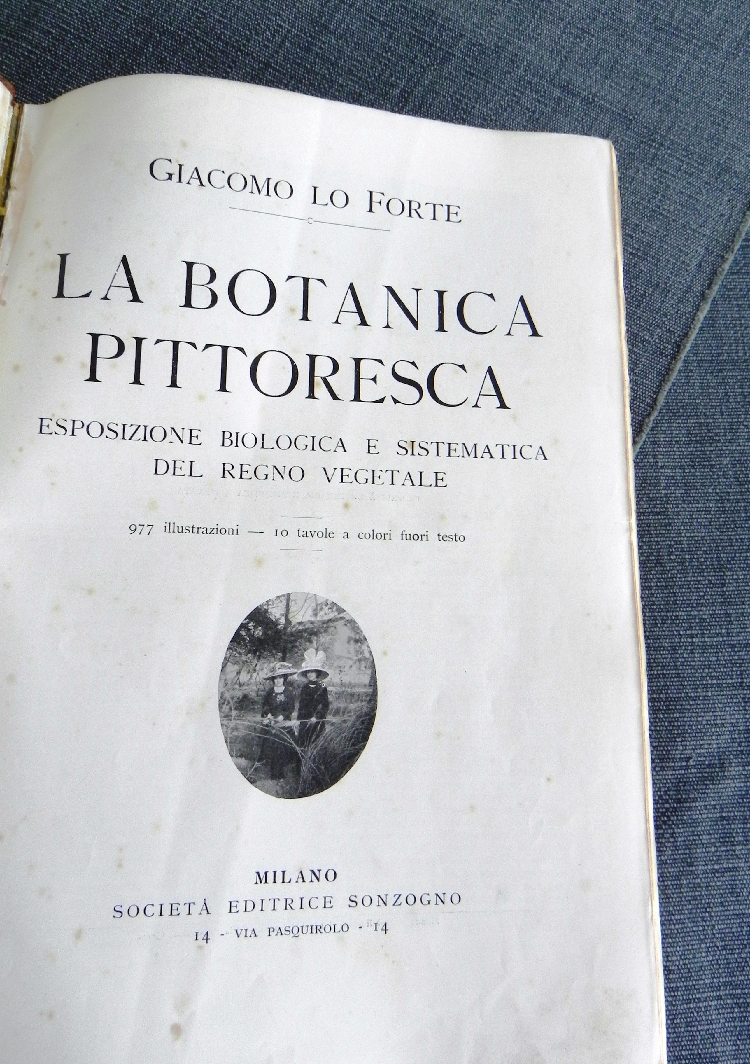 libro antico, la Botanica pittoresca. edizione del 1929 In Fair Condition For Sale In Felino, IT