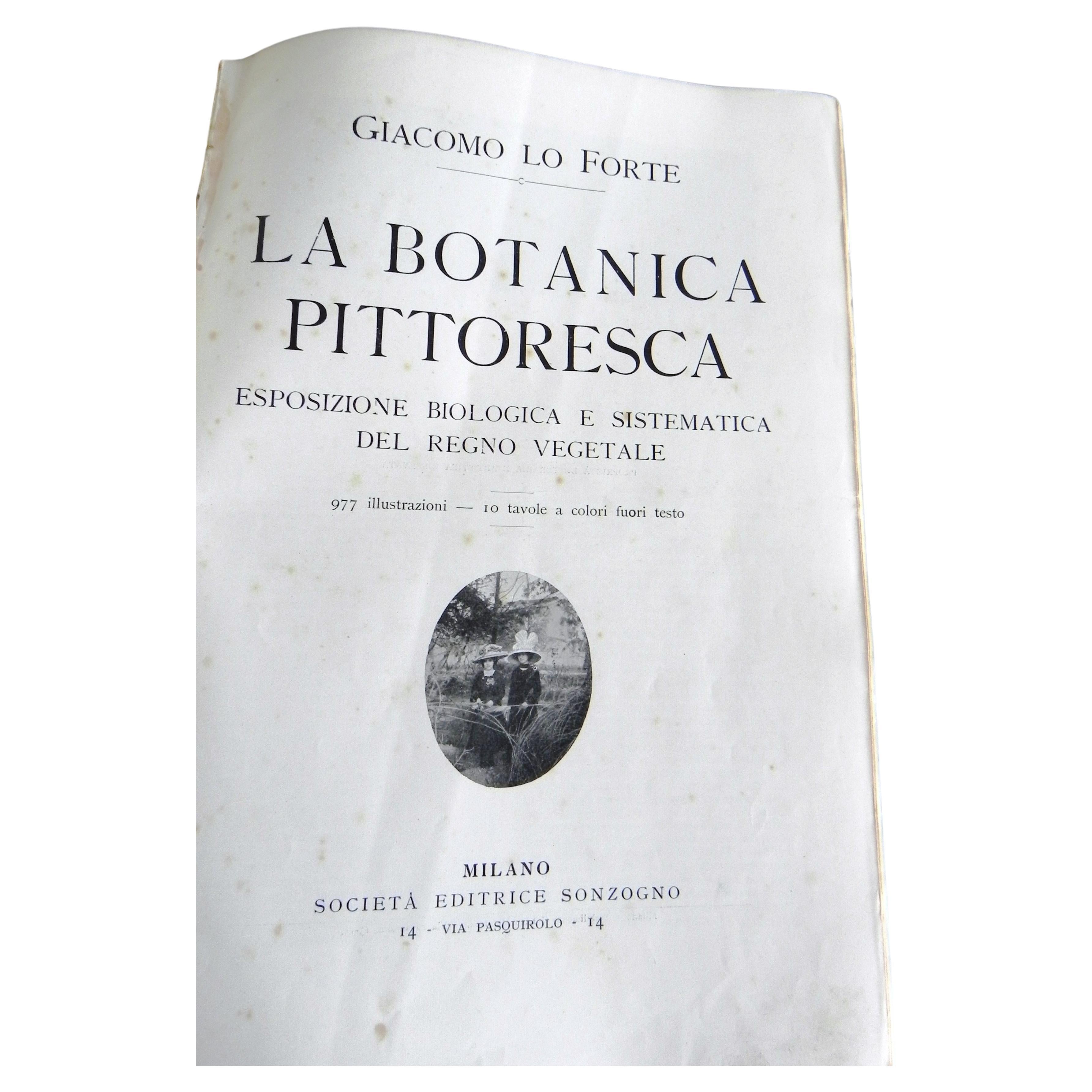 libro antico, la Botanica pittoresca. edizione del 1929 For Sale