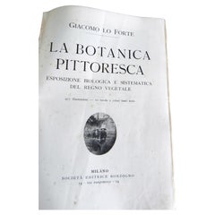 Antique libro antico, la Botanica pittoresca. edizione del 1929