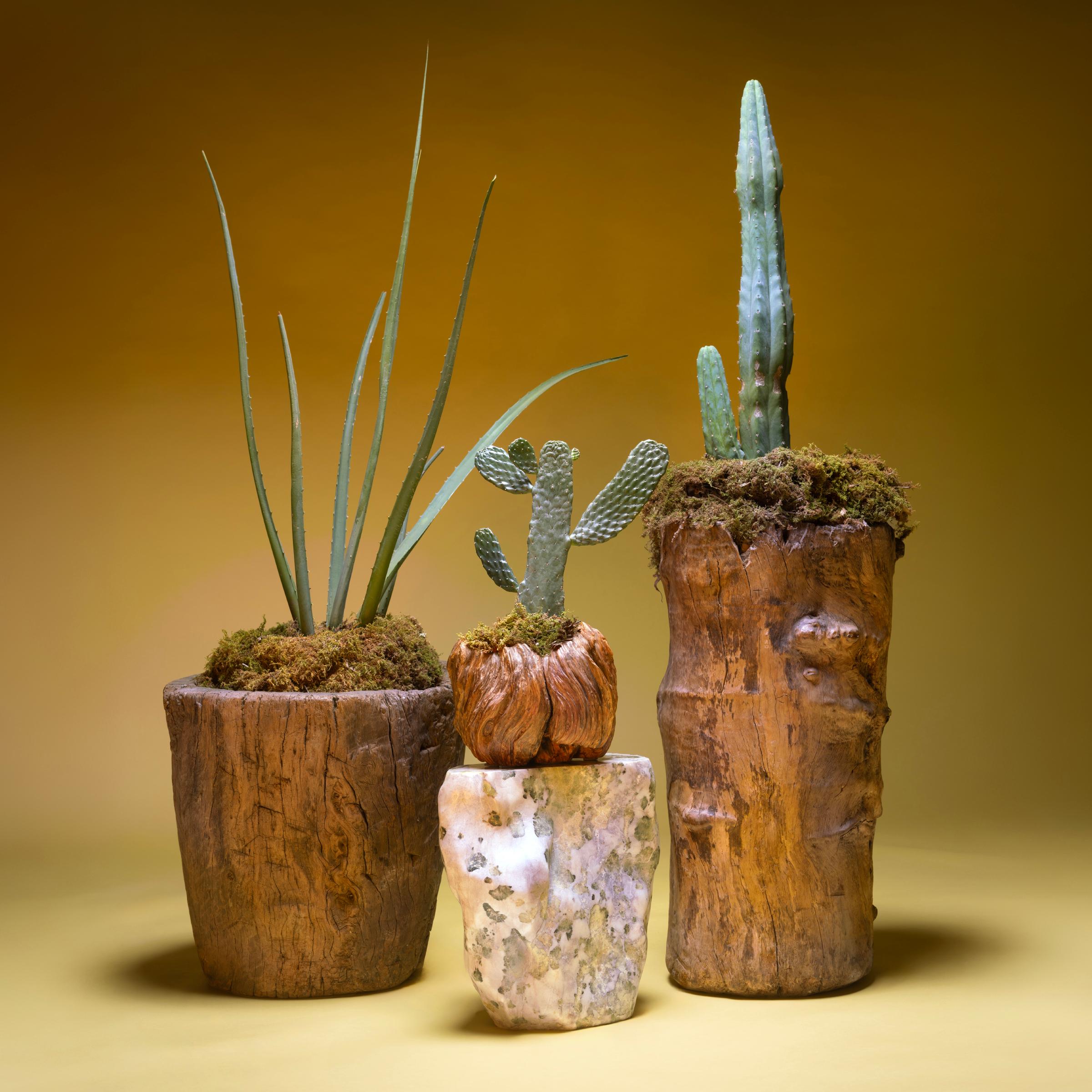 Polished Lichen Flower Stone Stool