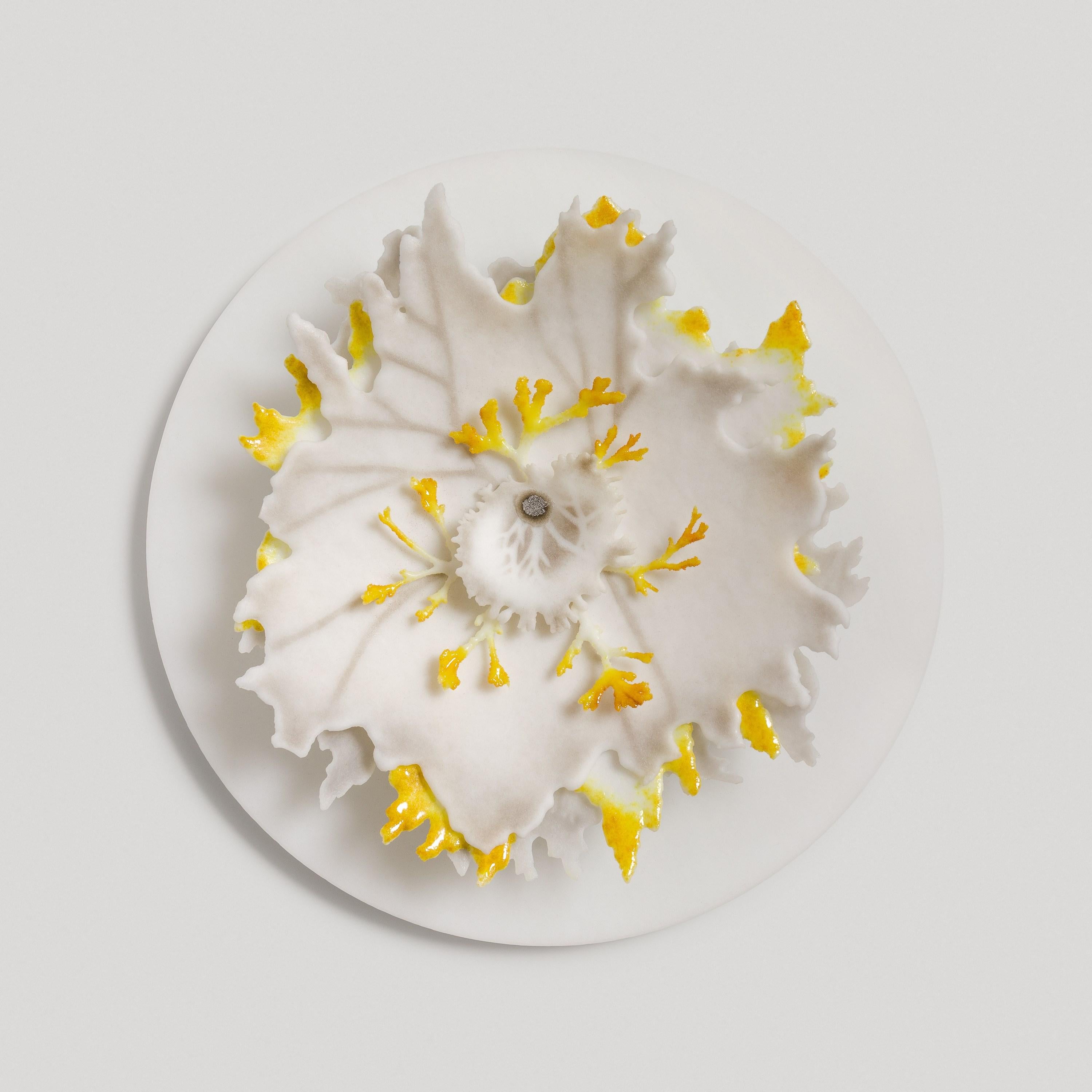 Organic Modern Lichen Studies 'I to IV' a Grey & Yellow Glass Installation by Verity Pulford For Sale