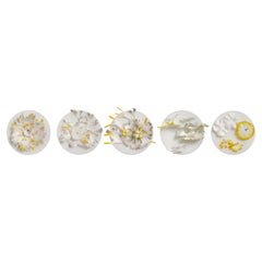 Lichen Studies 'I to IV' a Grey & Yellow Glass Installation by Verity Pulford