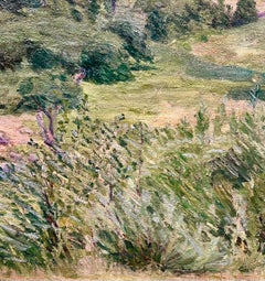 Rolling Hills in Virginia