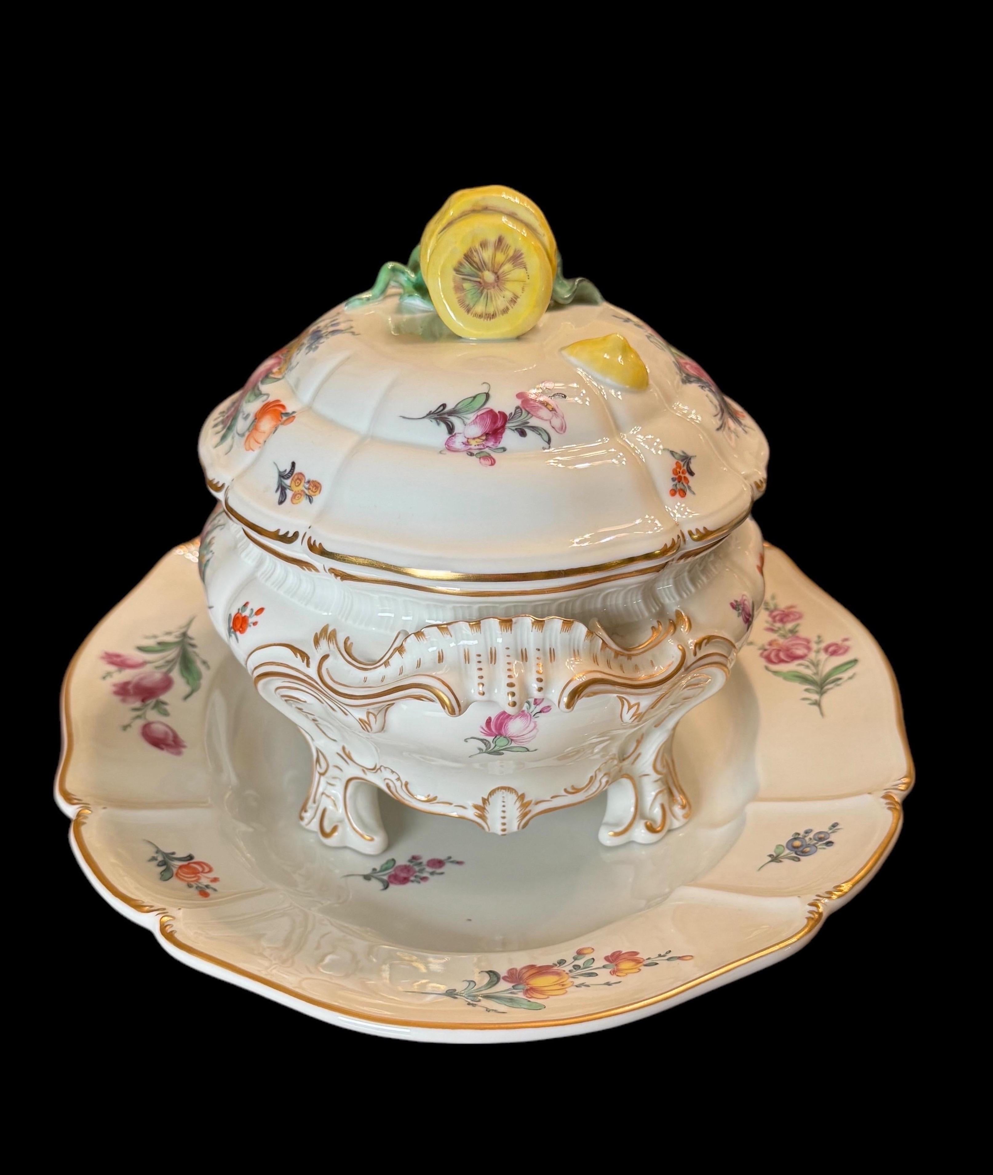 Sopera y fuente con tapa, Nymphenburg, Múnich Alemán Art Nouveau en venta