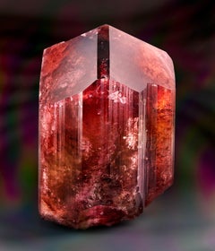 Liddicoatite Tourmaline, Madagascar