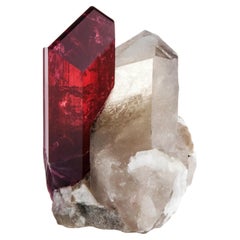 Tourmaline Liddicoatite avec quartz, Madagascar