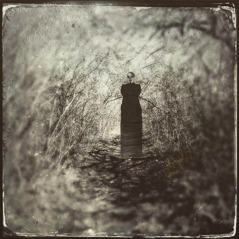 Lidija Commeça Black and White Photograph - Goethe's Ghost