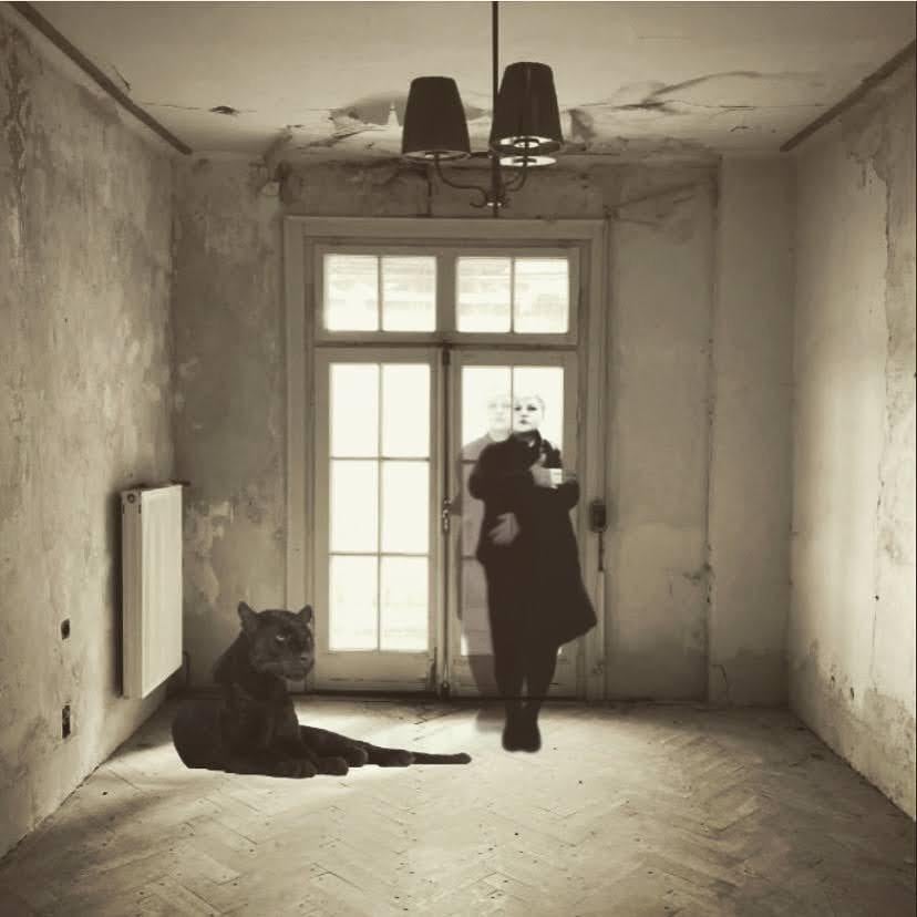 Lidija Commeça Black and White Photograph – Tausend Stäbe