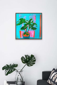 Cheese Plant