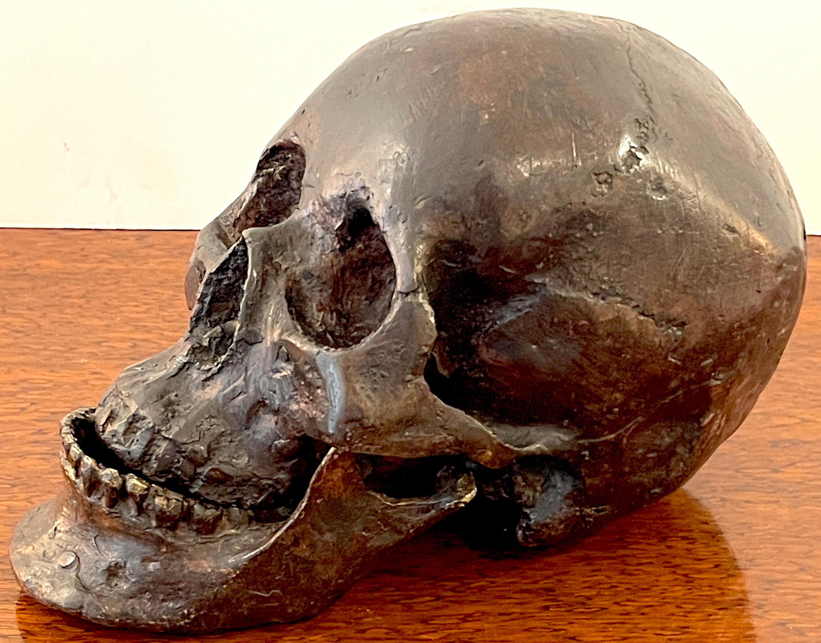Life Cast Bronze Model/Sculpture of a Human Skull
Signed and copyrighted Indistinctly, possibly by Maxilla and Mandible Ltd. New York

Realistically cast and modled, in two parts with upper and lower jaws.
This skull vanity (or vanitas) is a