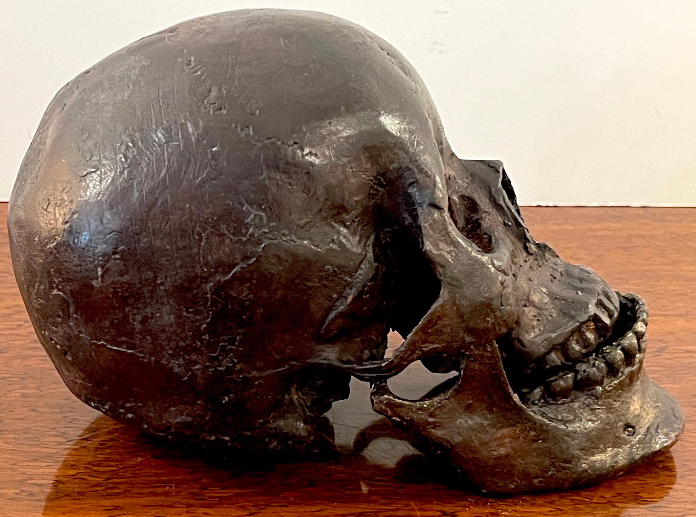 Life Cast Bronze Model/Sculpture of a Human Skull In Good Condition For Sale In West Palm Beach, FL