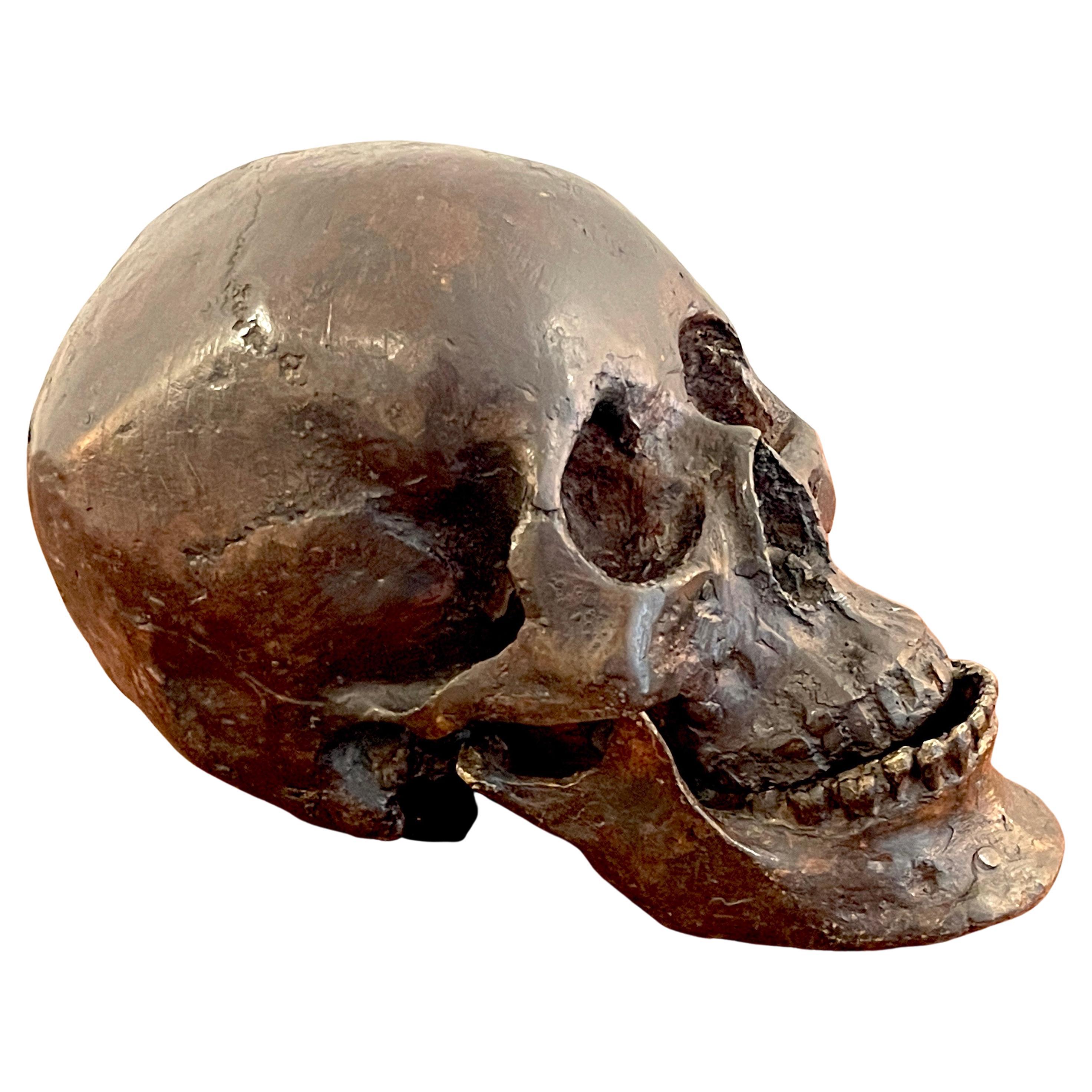 Life Cast Bronze Model/Sculpture of a Human Skull For Sale
