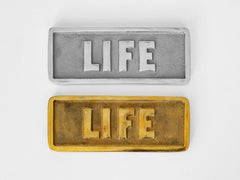 LIFE Objects